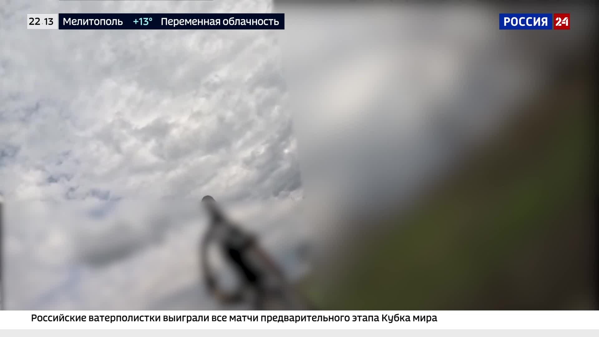 "Сокол: Как бывший летчик стал защитником неба Донбасса"
