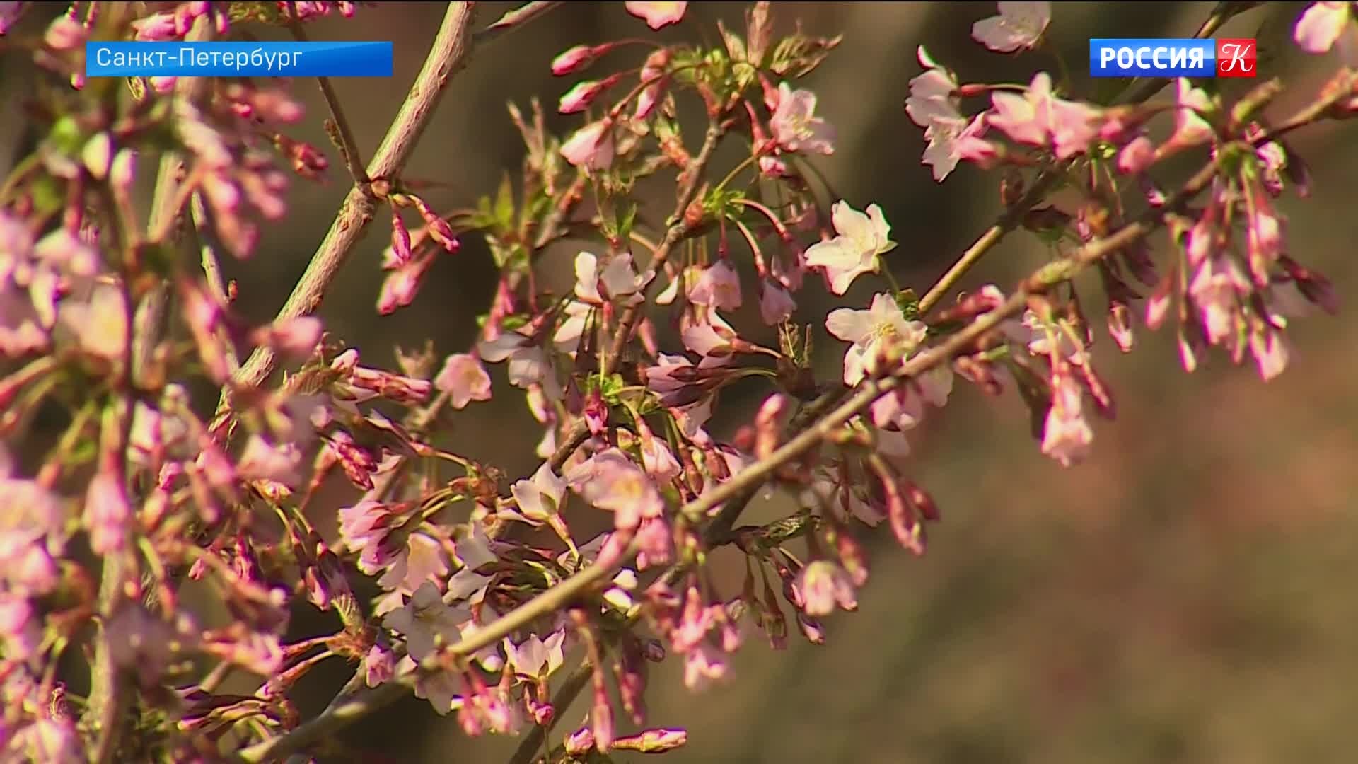 Эфир 24.04.2026 · 10:00