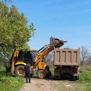Заработать тысячу и помочь экологам