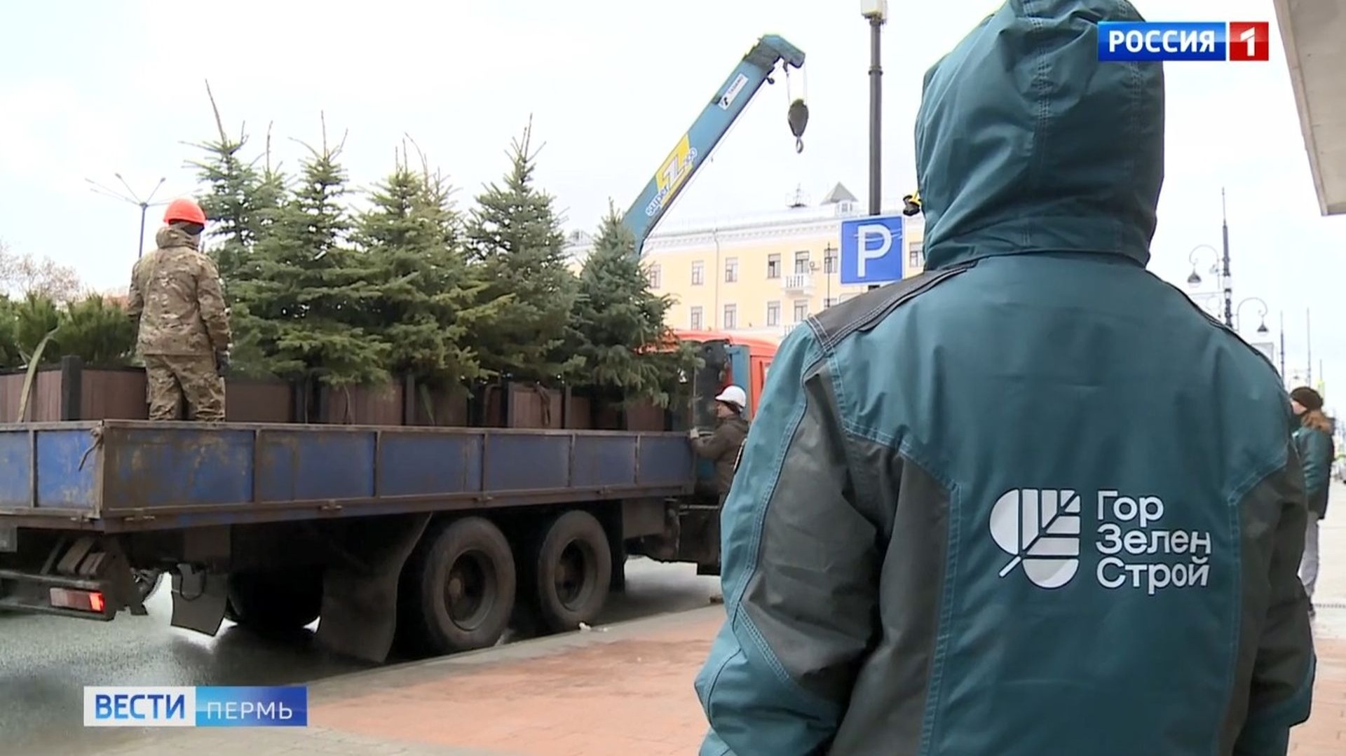 На улицах Перми начали устанавливать кашпо с деревьями и кустарниками