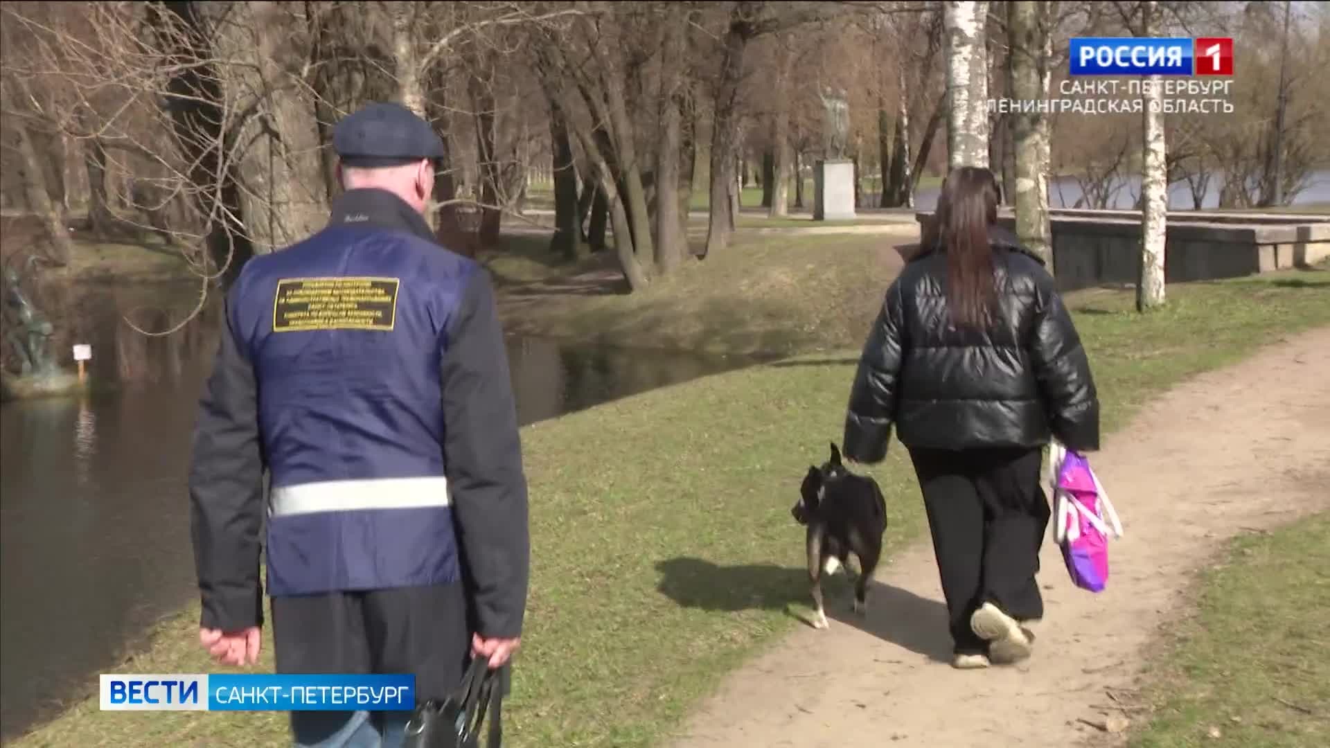 Места для прогулок с собаками в Петербурге будут определять районные администрации