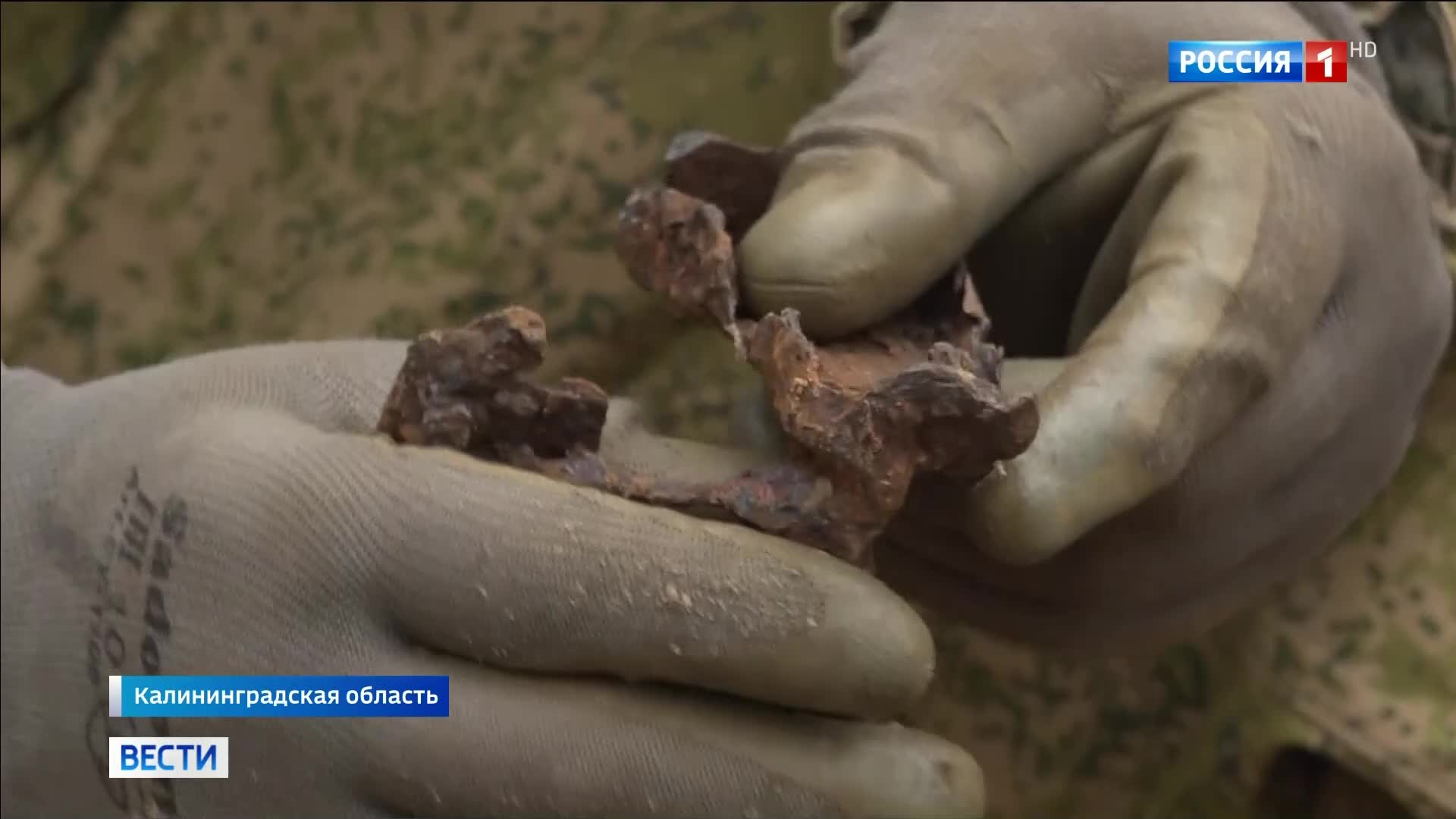 Поисковики Калининграда вернули орден Красного Знамени сыну майора Костина