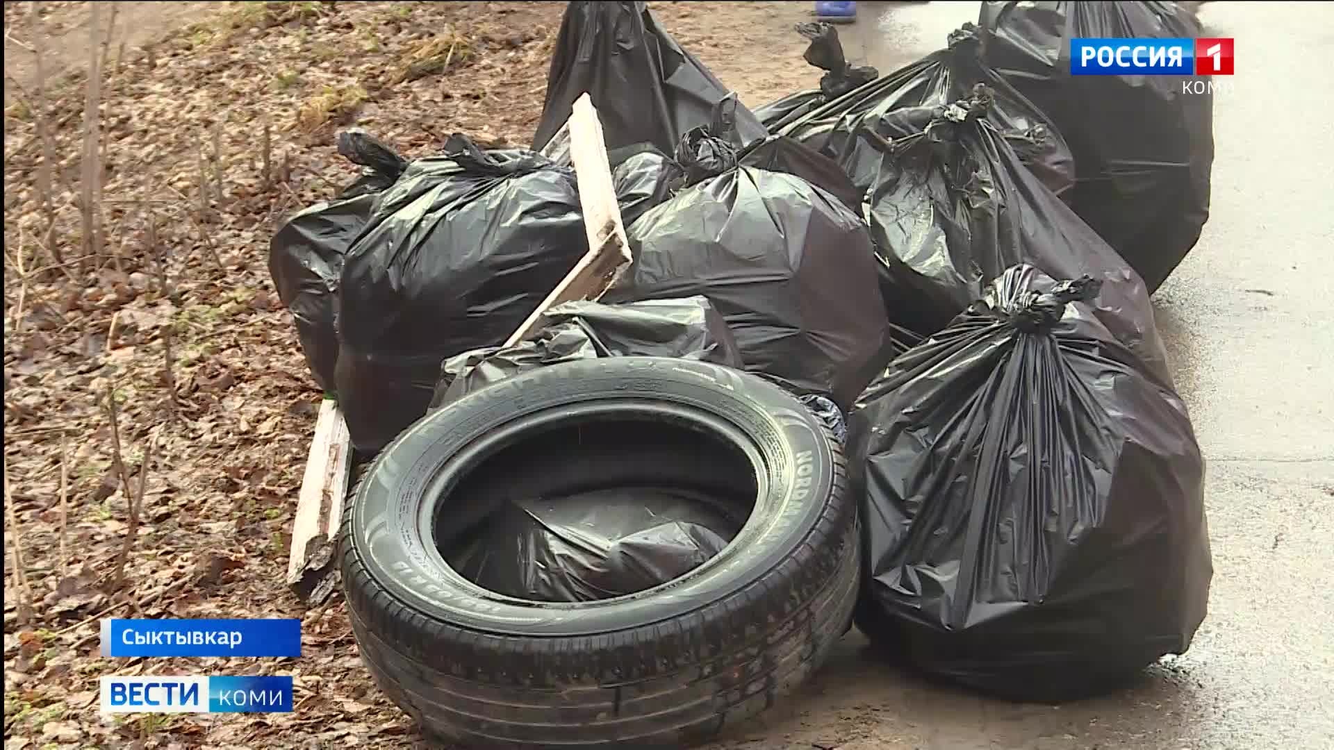 В Сыктывкаре в этом году прошёл первый массовый субботник