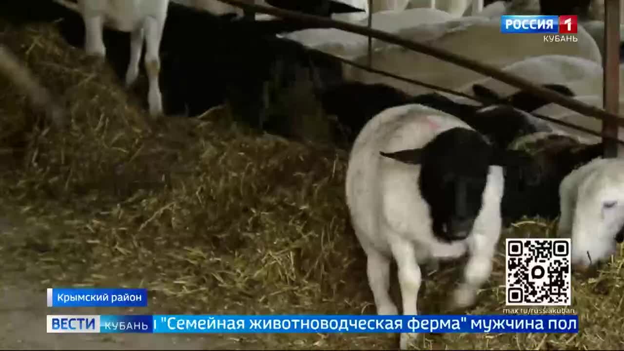 Эфир от 27.04.2026 (11:30)