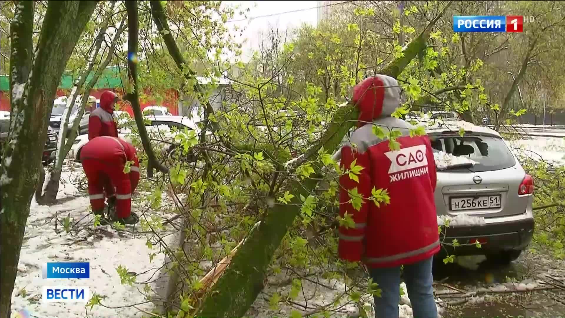 Усиление снегопадов в Москве: коммунальщики борются с последствиями шторма