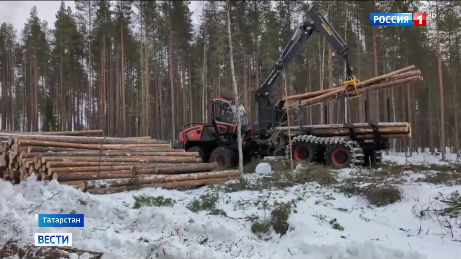 КамАЗ представляет отечественную лесозаготовительную технику: замена западным аналогам