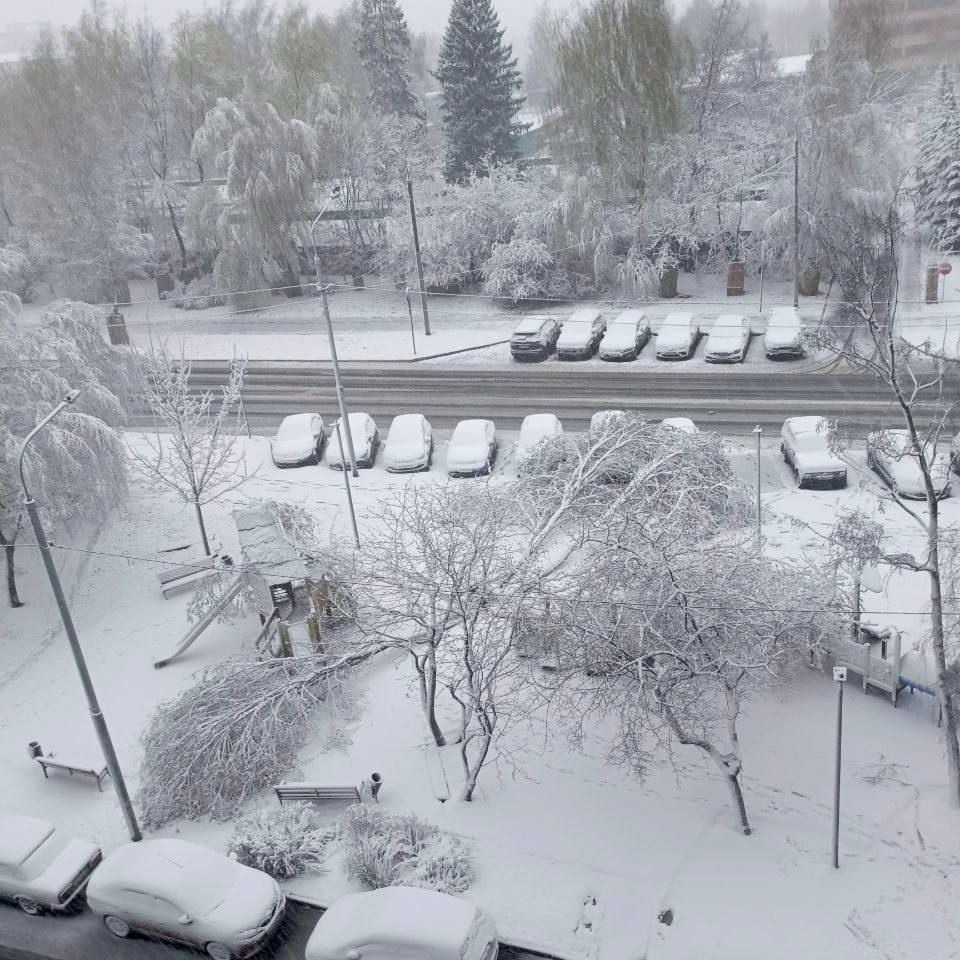 Заметает апрель, заметает - всю столицу. День второй