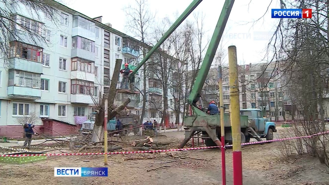 В Брянской области продолжается месячник по благоустройству