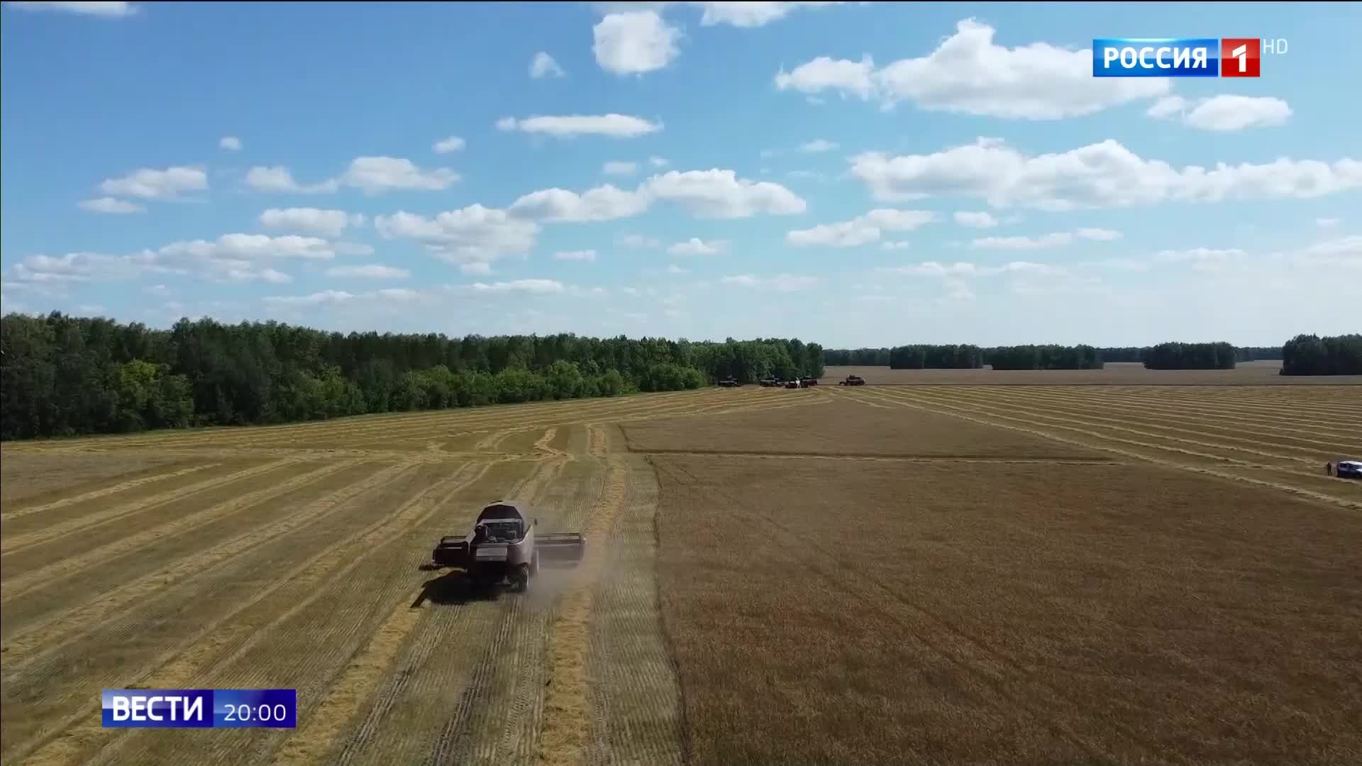 Украина угрожает Израилю санкциями за поставки российского зерна.