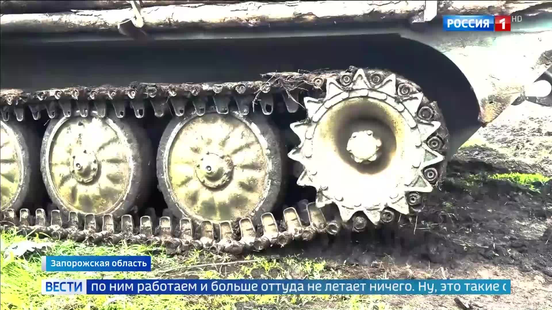 "Гвоздика на передовой: точный удар по позициям ВСУ в Запорожье"