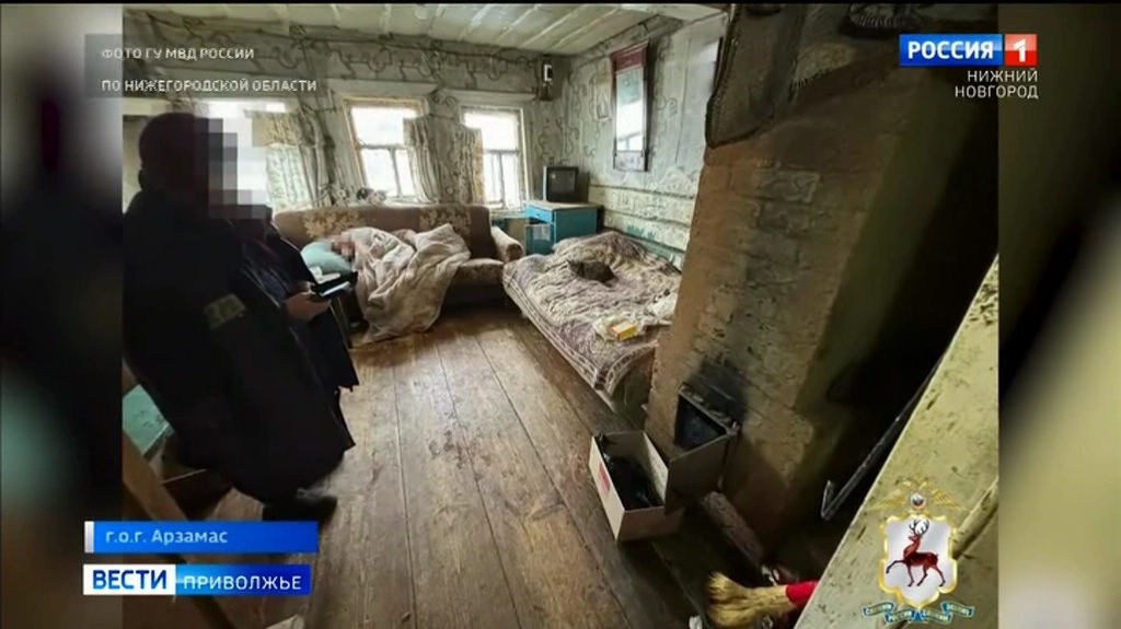 Дерзкое нападение на пенсионерку раскрыли полицейские в Арзамасском районе