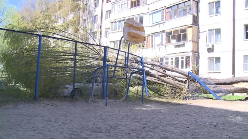 Дерево упало на спортплощадку и автомобиль в тюменском дворе
