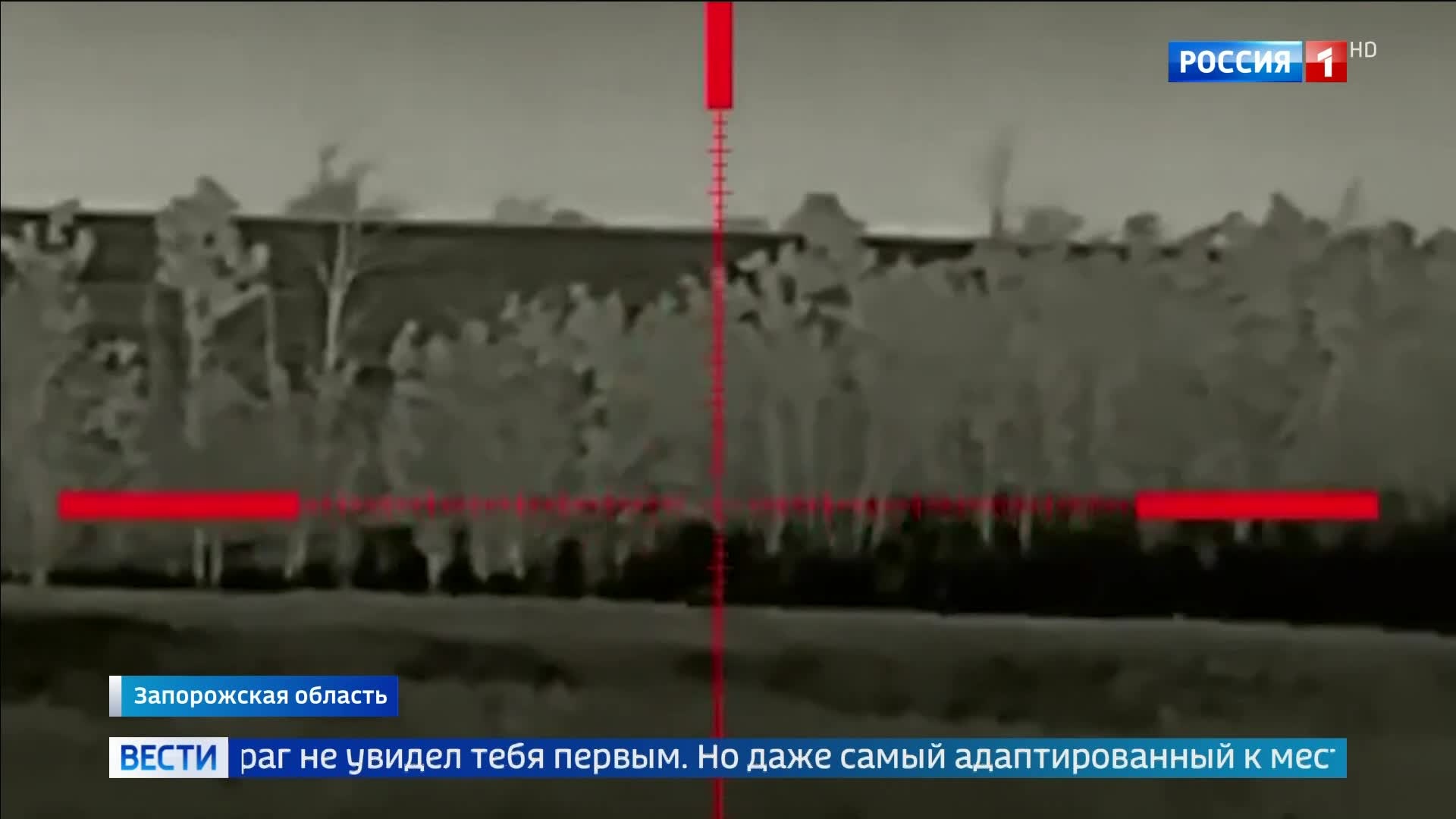 Снайперы Востока: Тишина и точность в лесах Тока