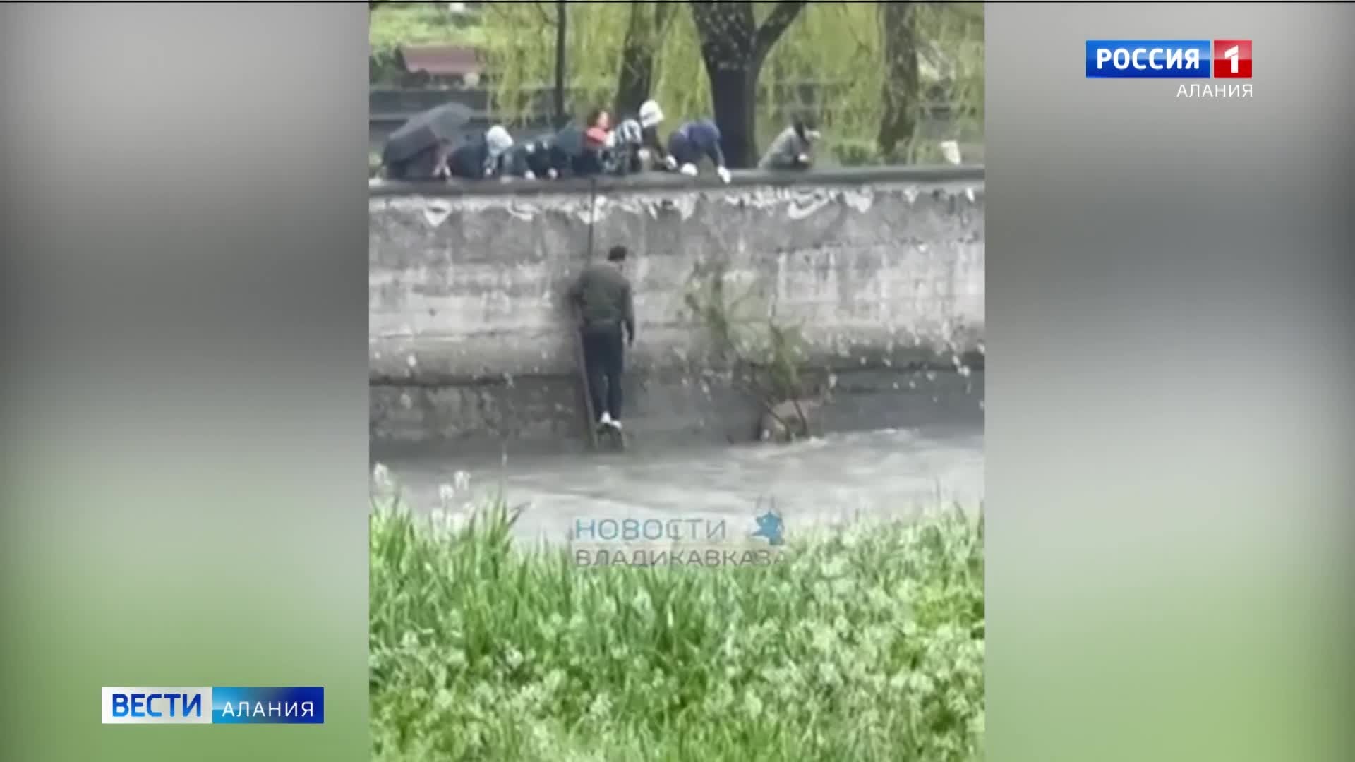 Молодую косулю спасли сегодня утром из Терека в центре Владикавказа