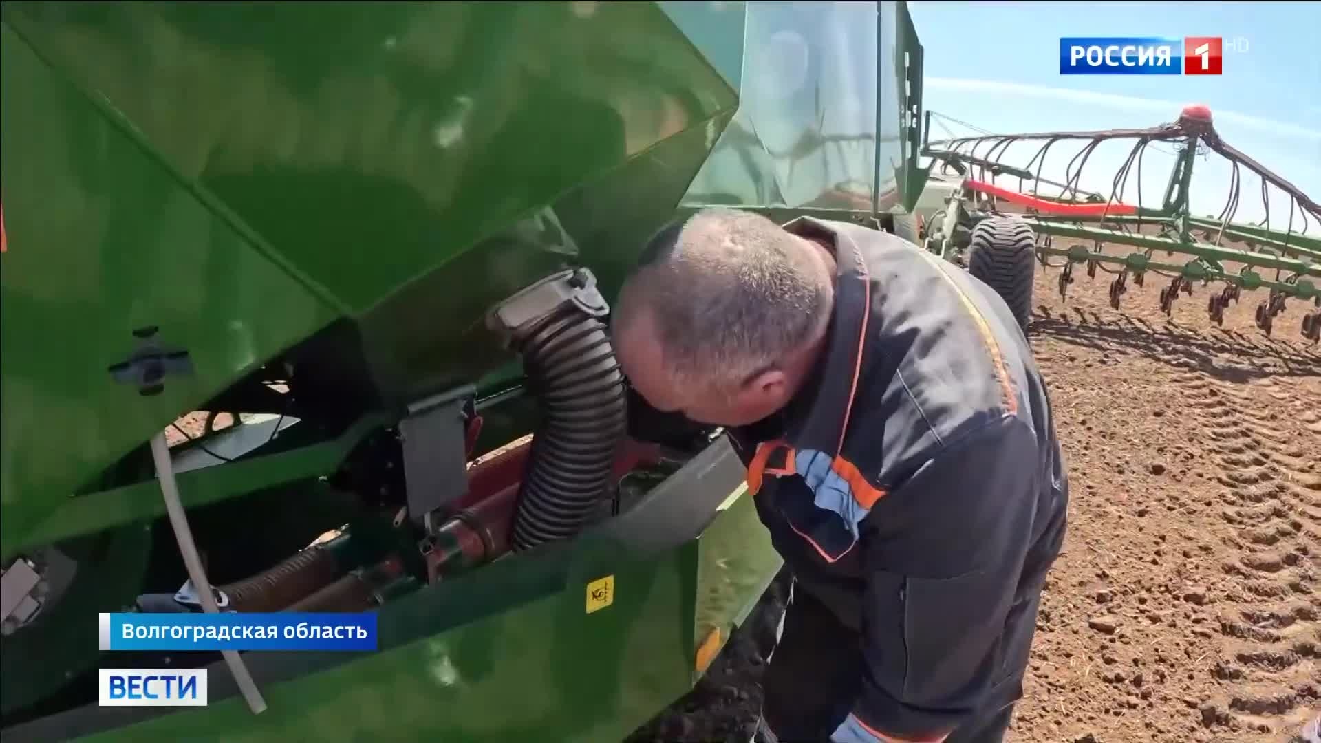 В Волгоградской области завершается посевная горчицы