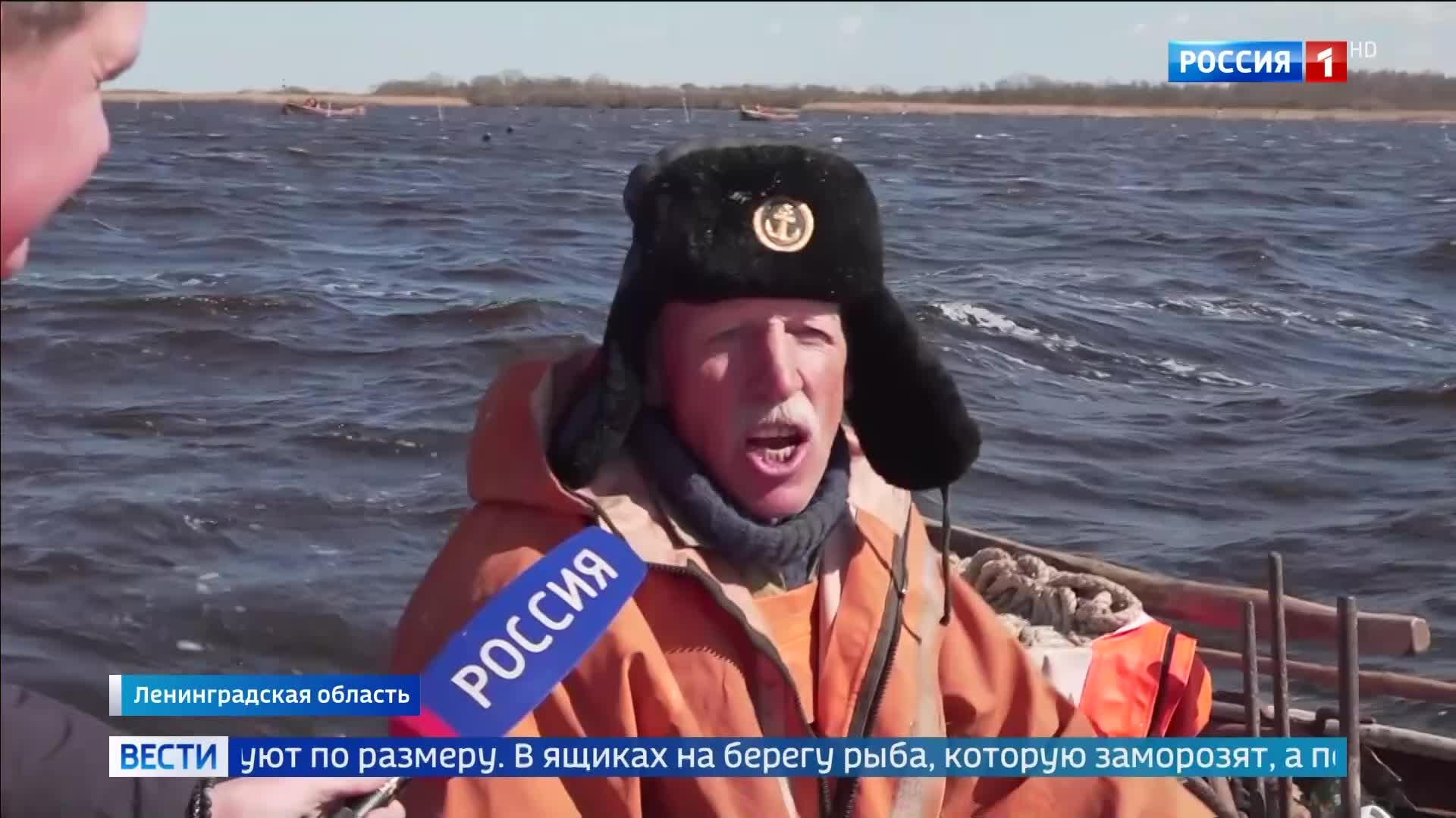 Корюшка на Ладоге: традиция и аромат петербургской весны