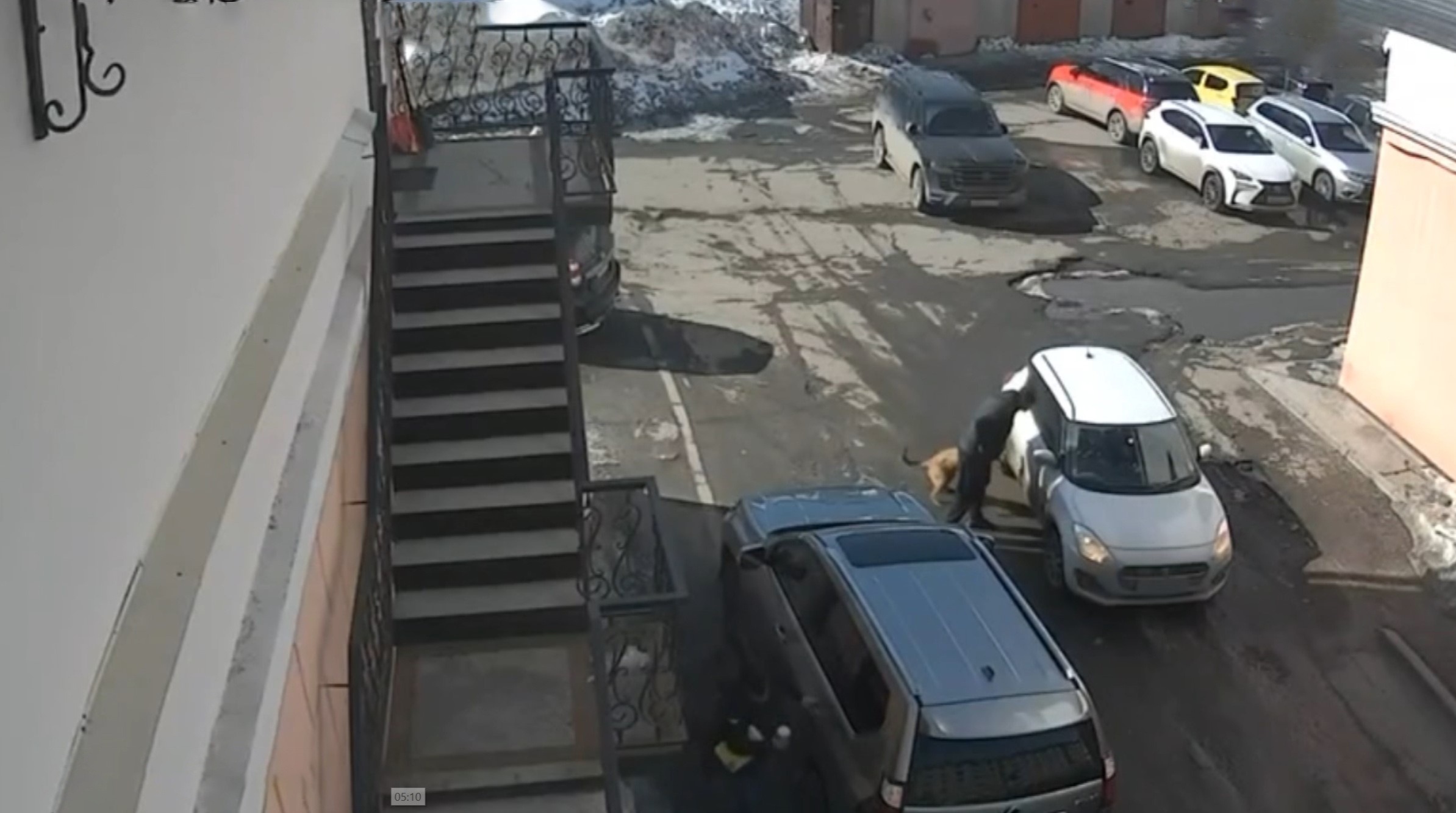 Появилось еще одно свидетельство о хулигане с Портовой