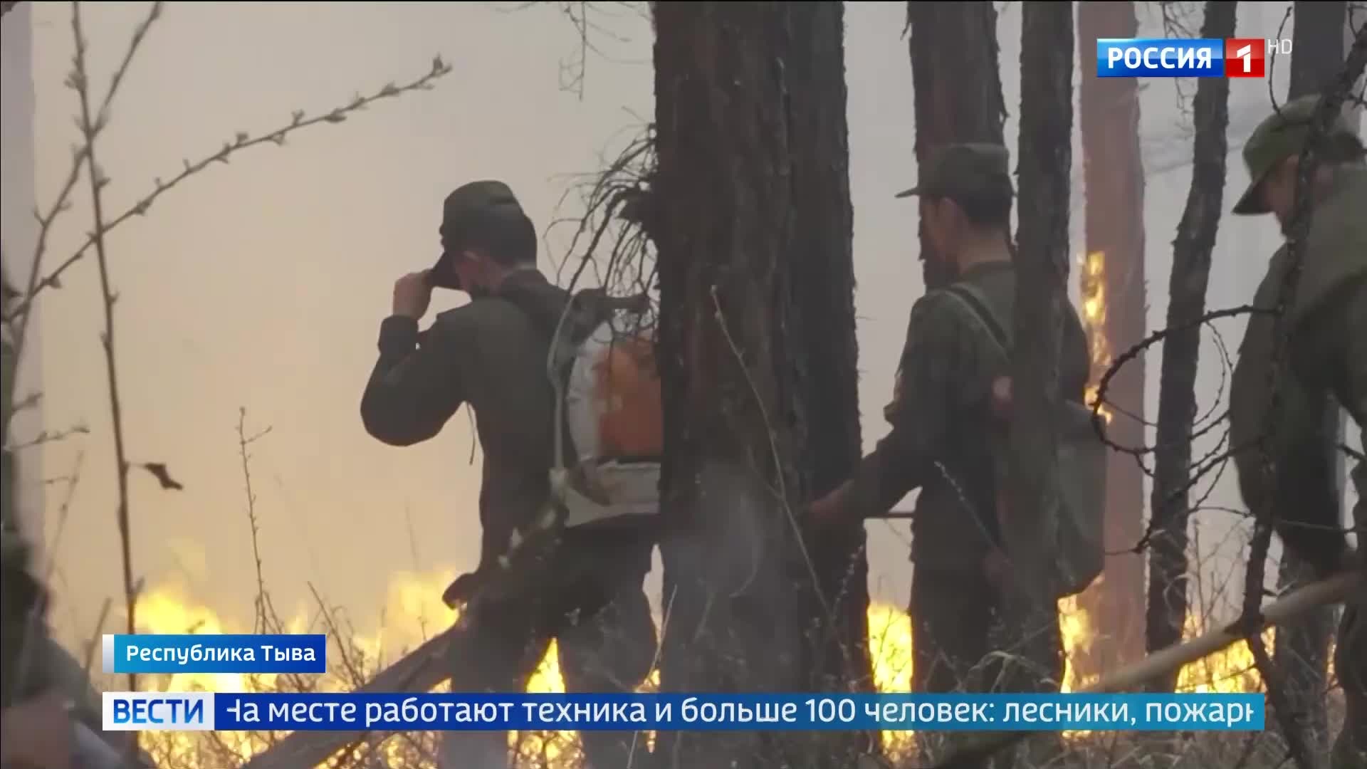 "Более 100 гектаров охвачены огнём: борьба с лесными пожарами в республике продолжается"