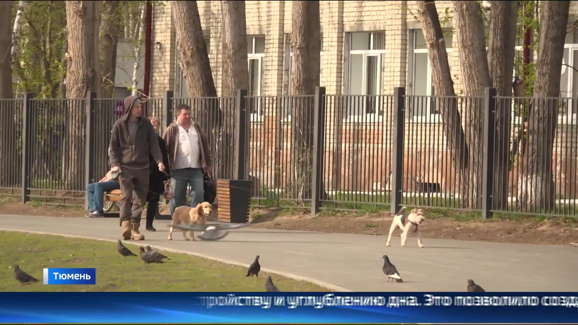 Уютные домики для уток появились на тюменском пруду