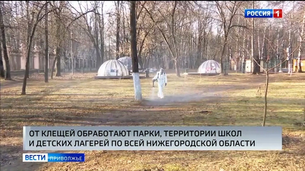 В Нижегородской области активно проводят акарицидные обработки