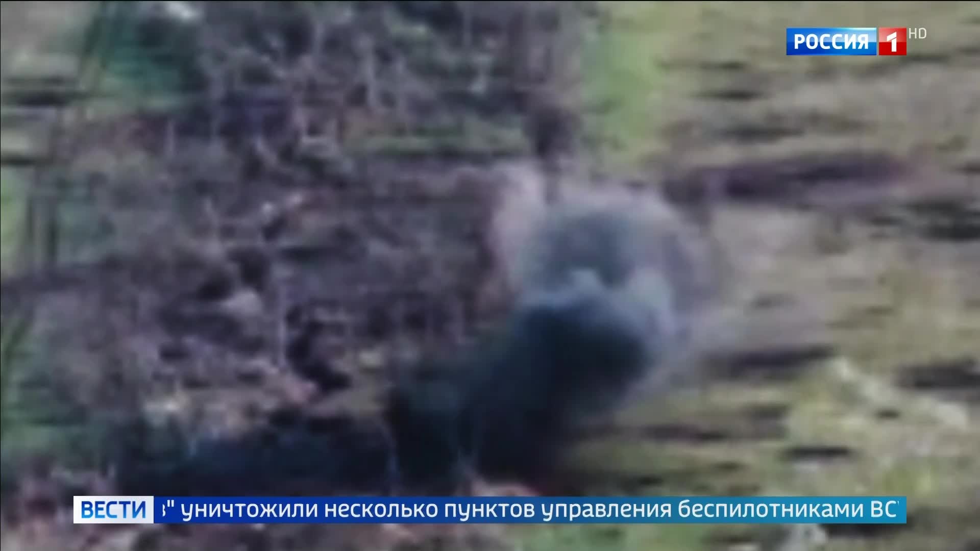 В Сумской и Запорожской областях: уничтожены НАТОвские танки и пункты управления дронов