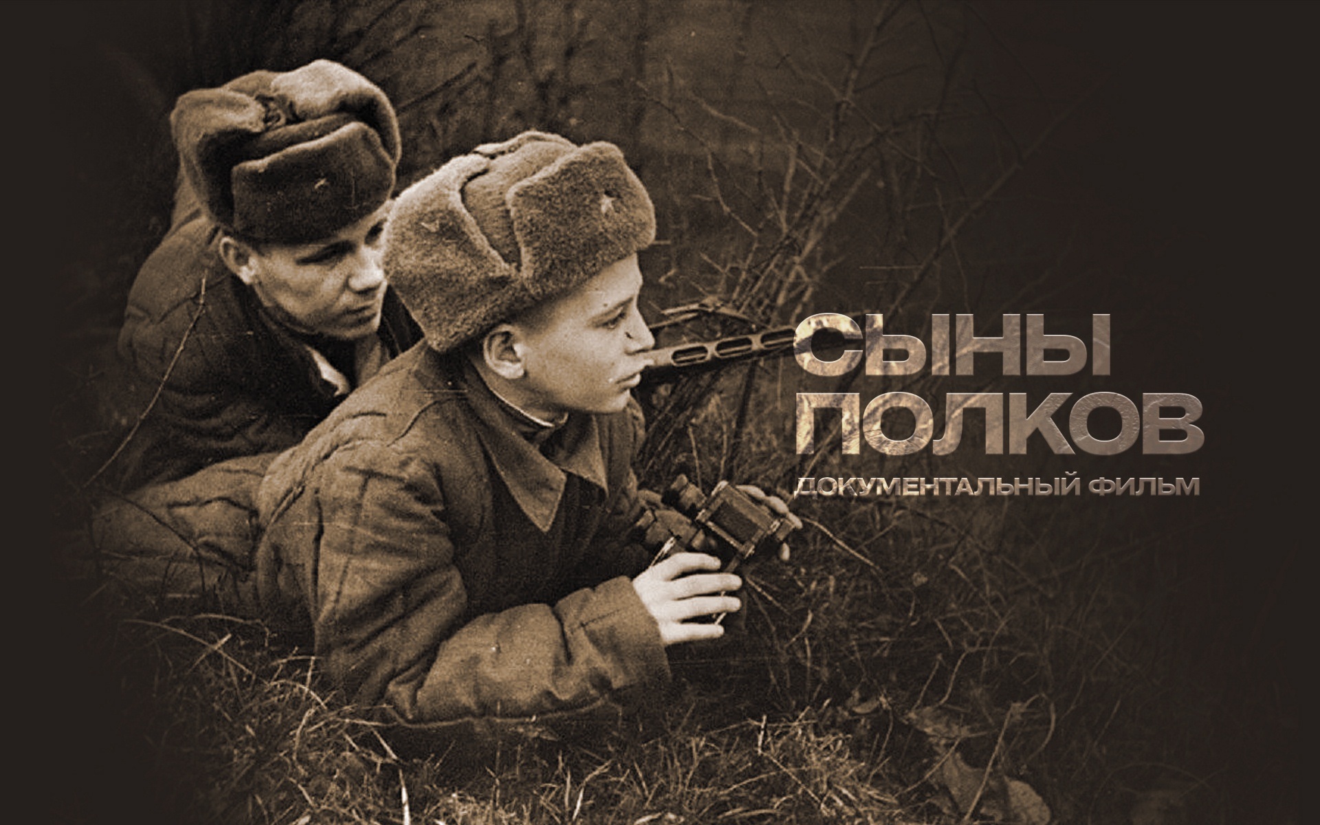 Сыны полков