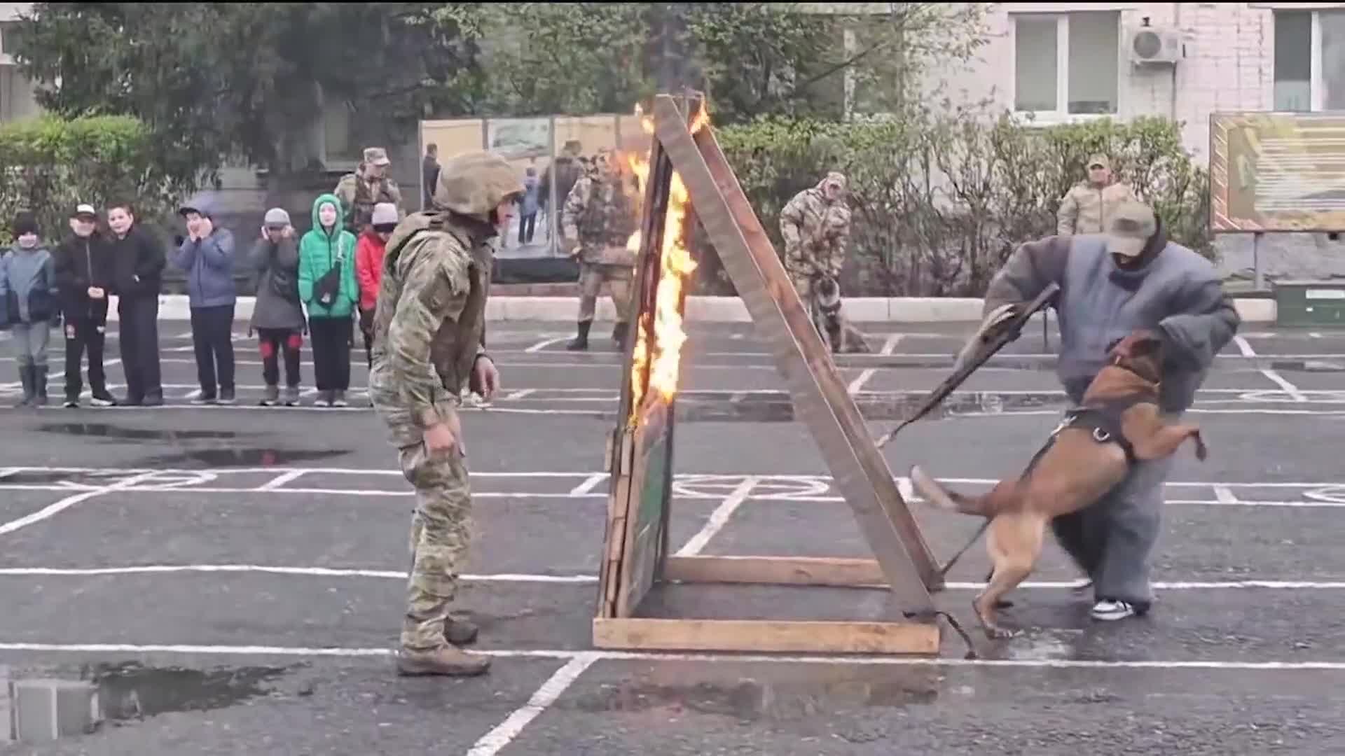 Открытый урок для тюменских школьников провели сотрудники подразделения ФСБ