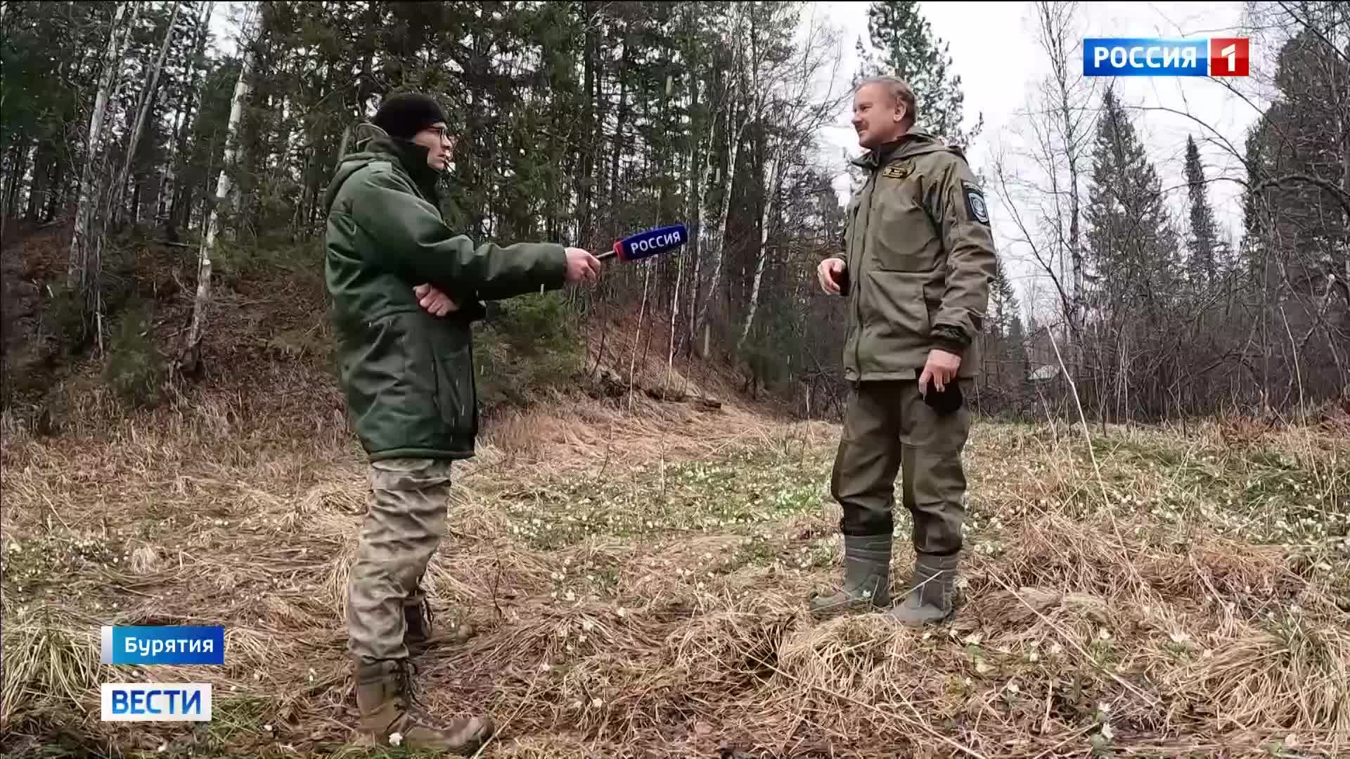 Цветы