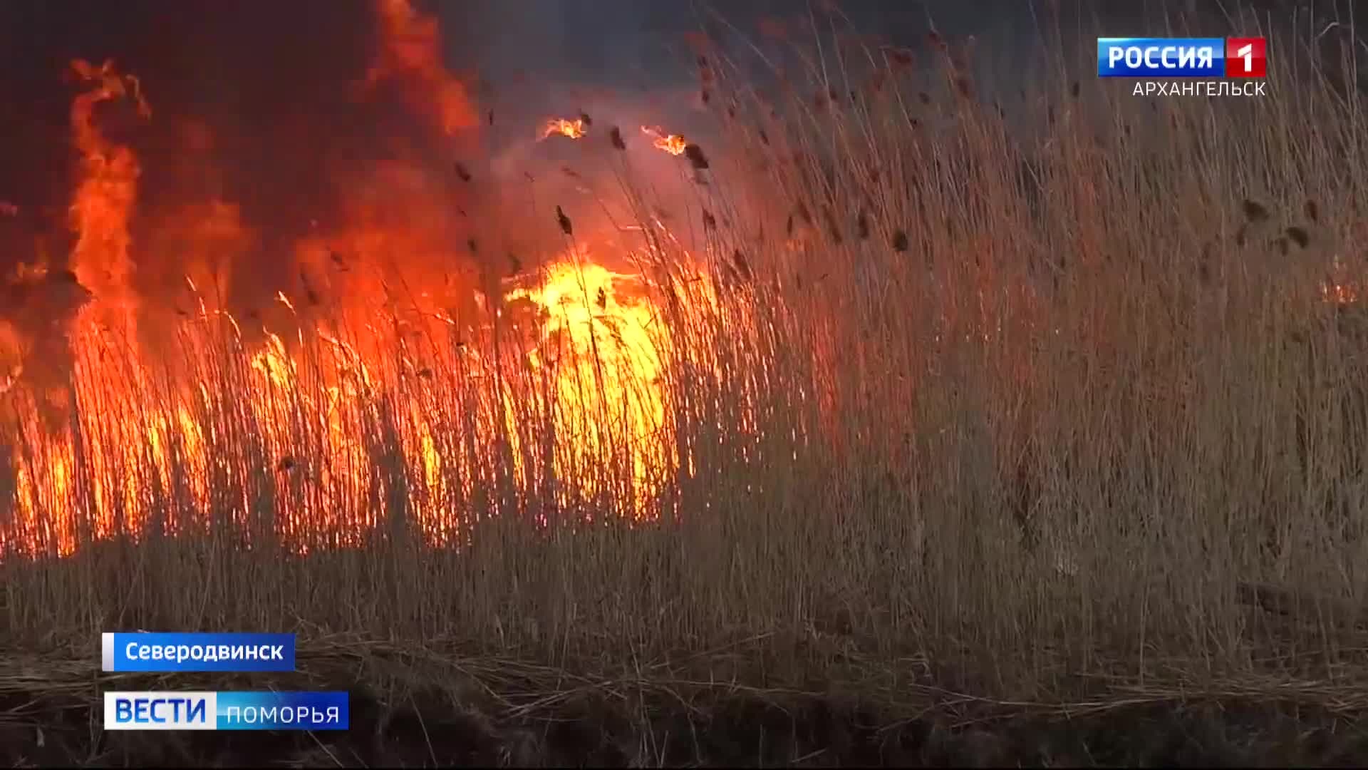 Сразу несколько серьёзных пожаров произошло в регионе