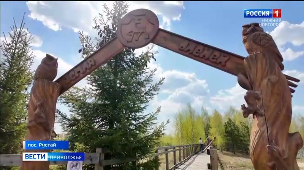 Экологическое просвещение и народные сказания дарит Керженский заповедник