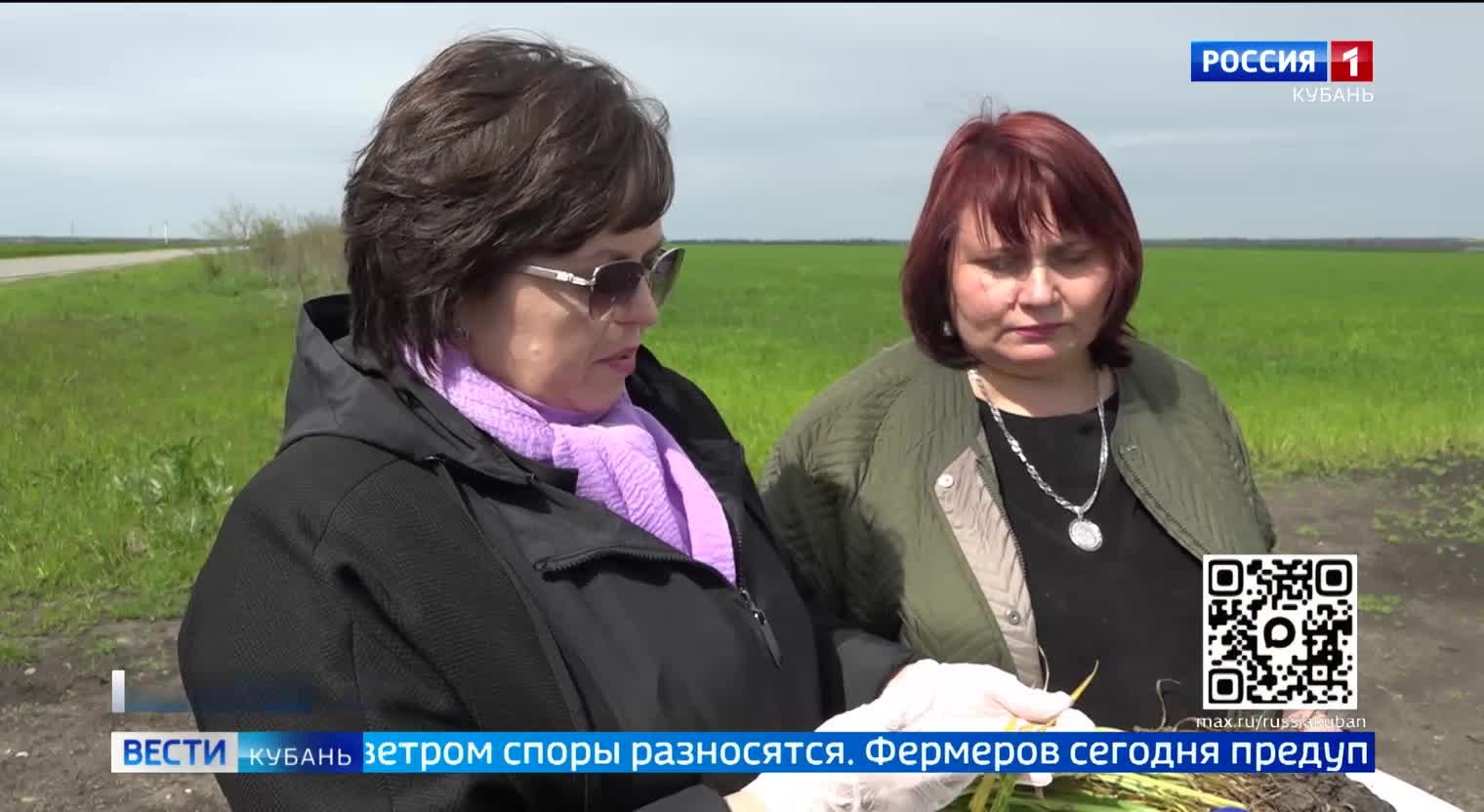 Эфир от 13.05.2026 (11:30)