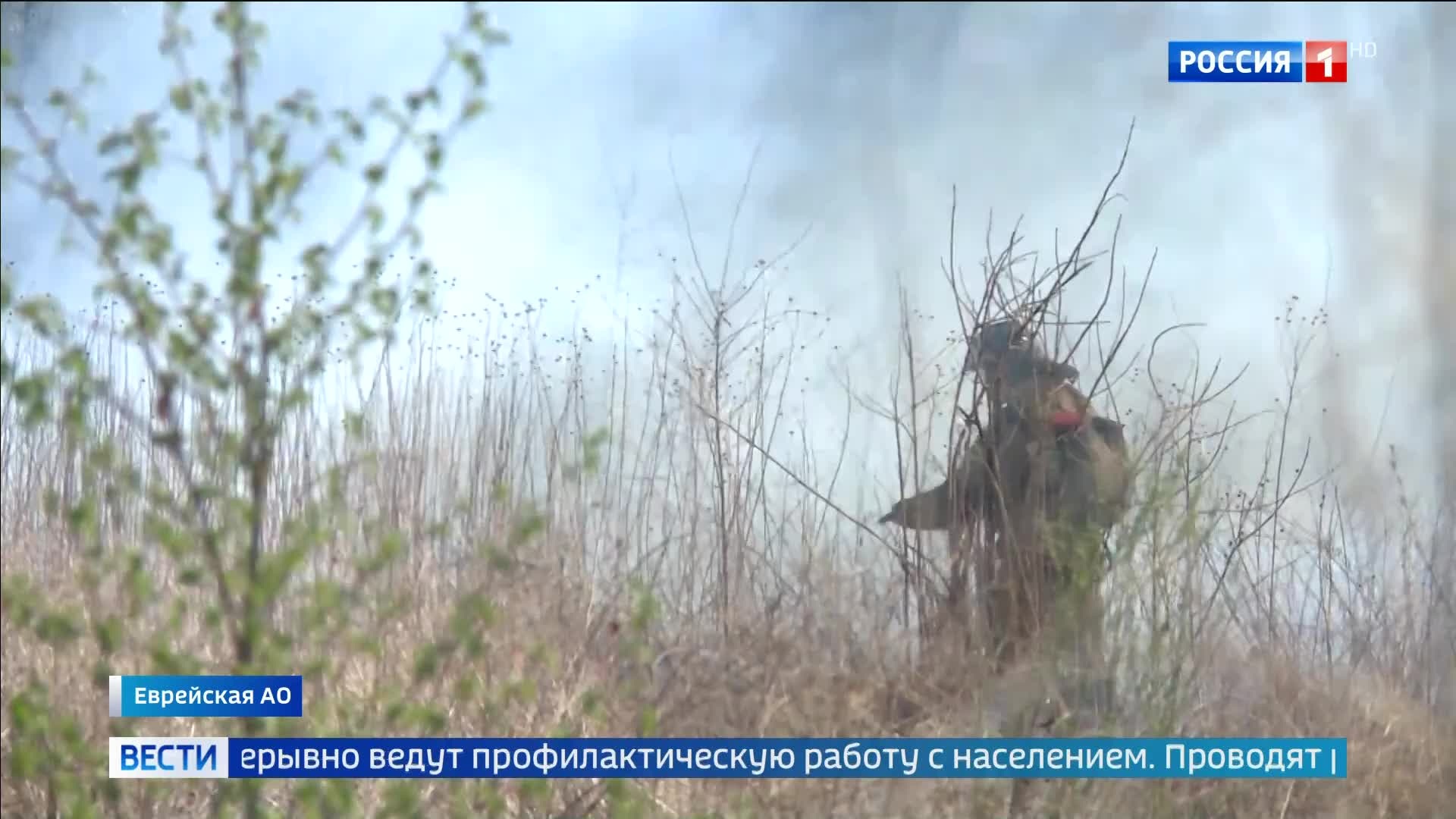 Пожары на юге региона: борьба с огнём и контроль губернатора