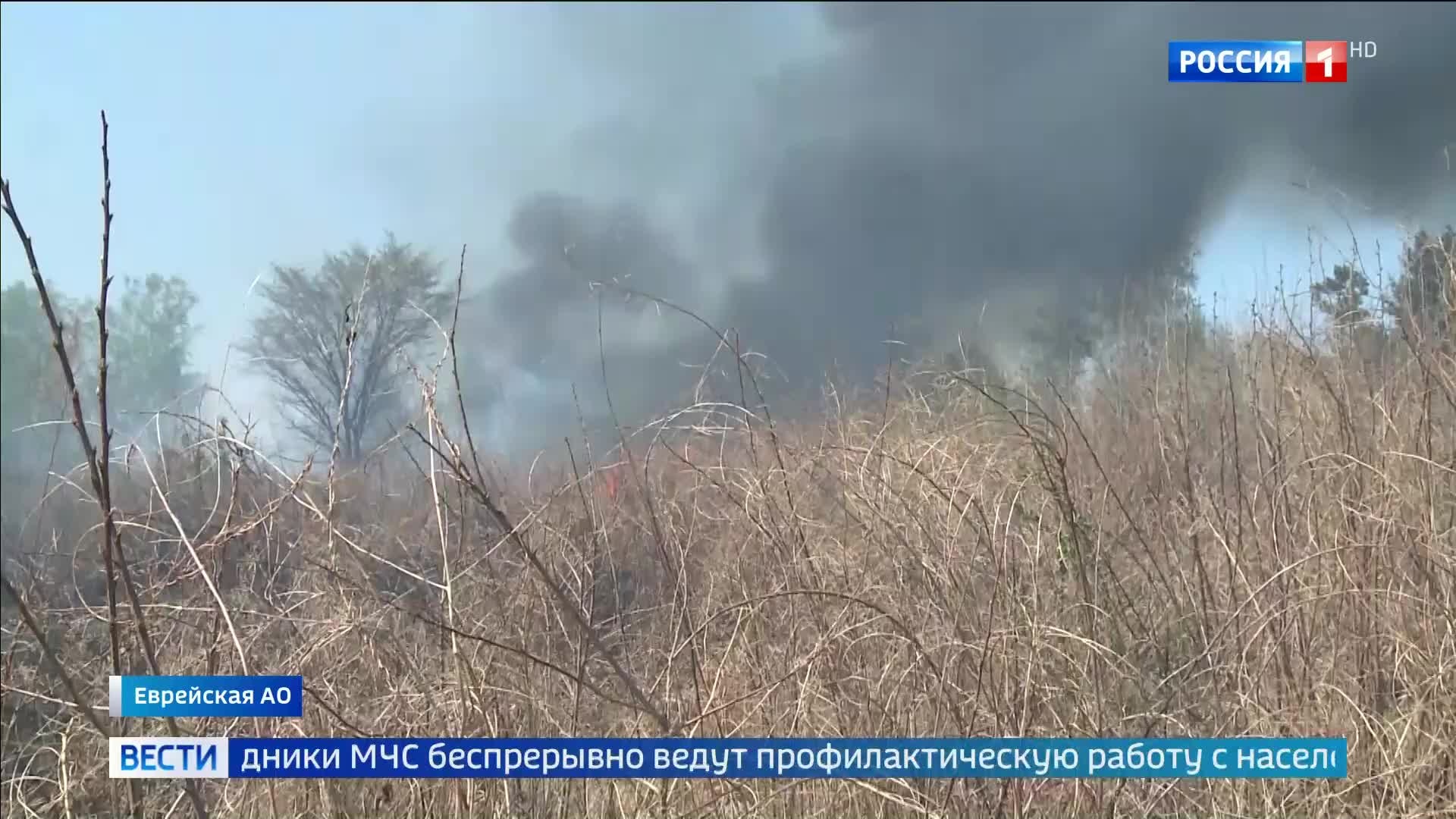 Пожары на выжженной земле: человеческая вина и героизм пожарных в Биробиджане
