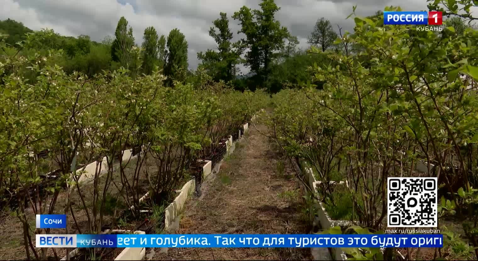 Эфир от 14.05.2026 (11:30)