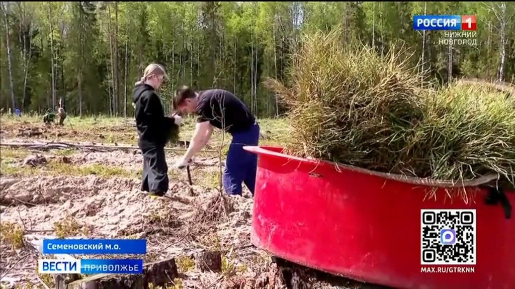 В Семеновском округе впервые прошла международная акция "Сад Памяти"