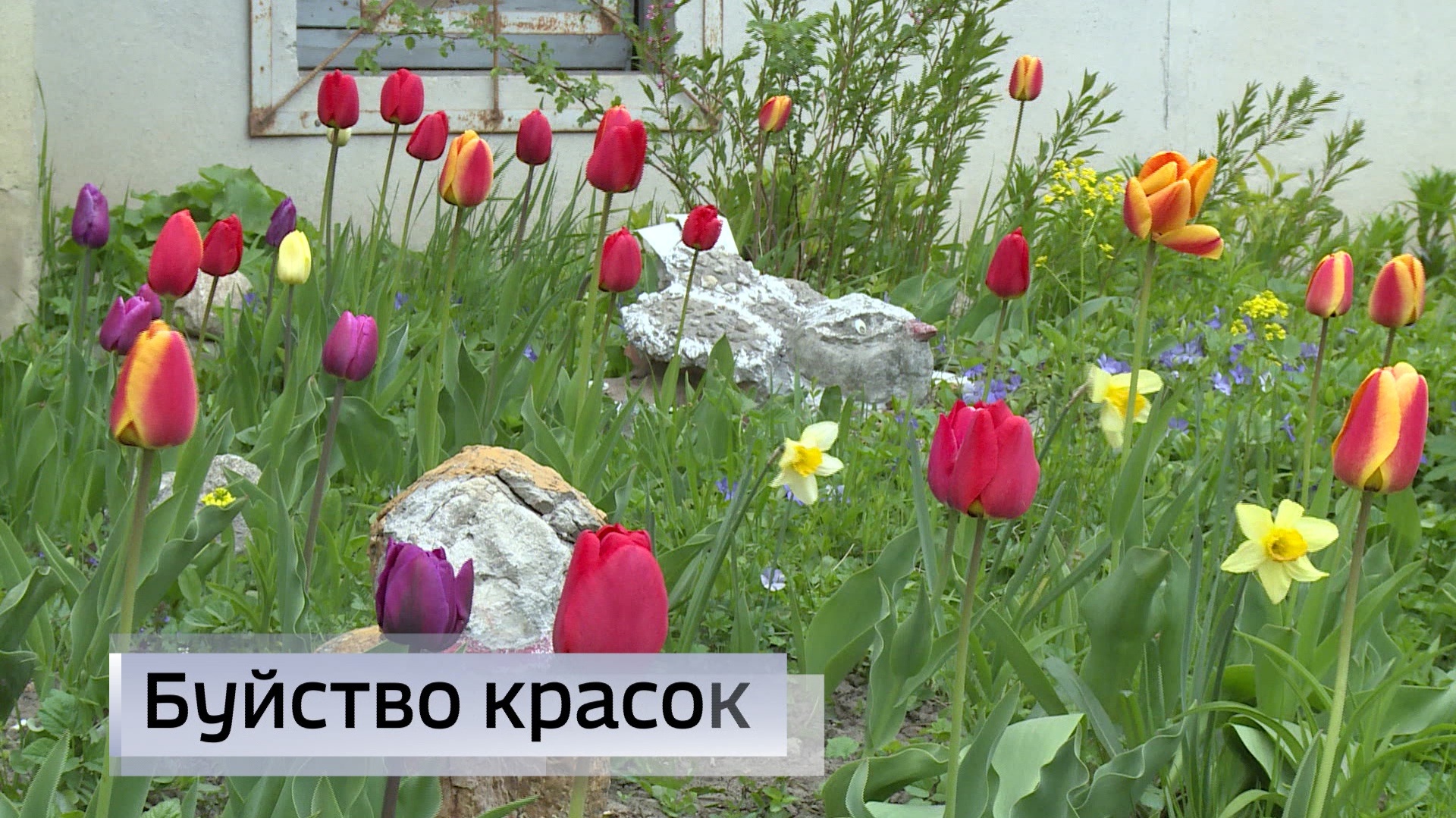 Эфир от 15.05.2026 (11:30)