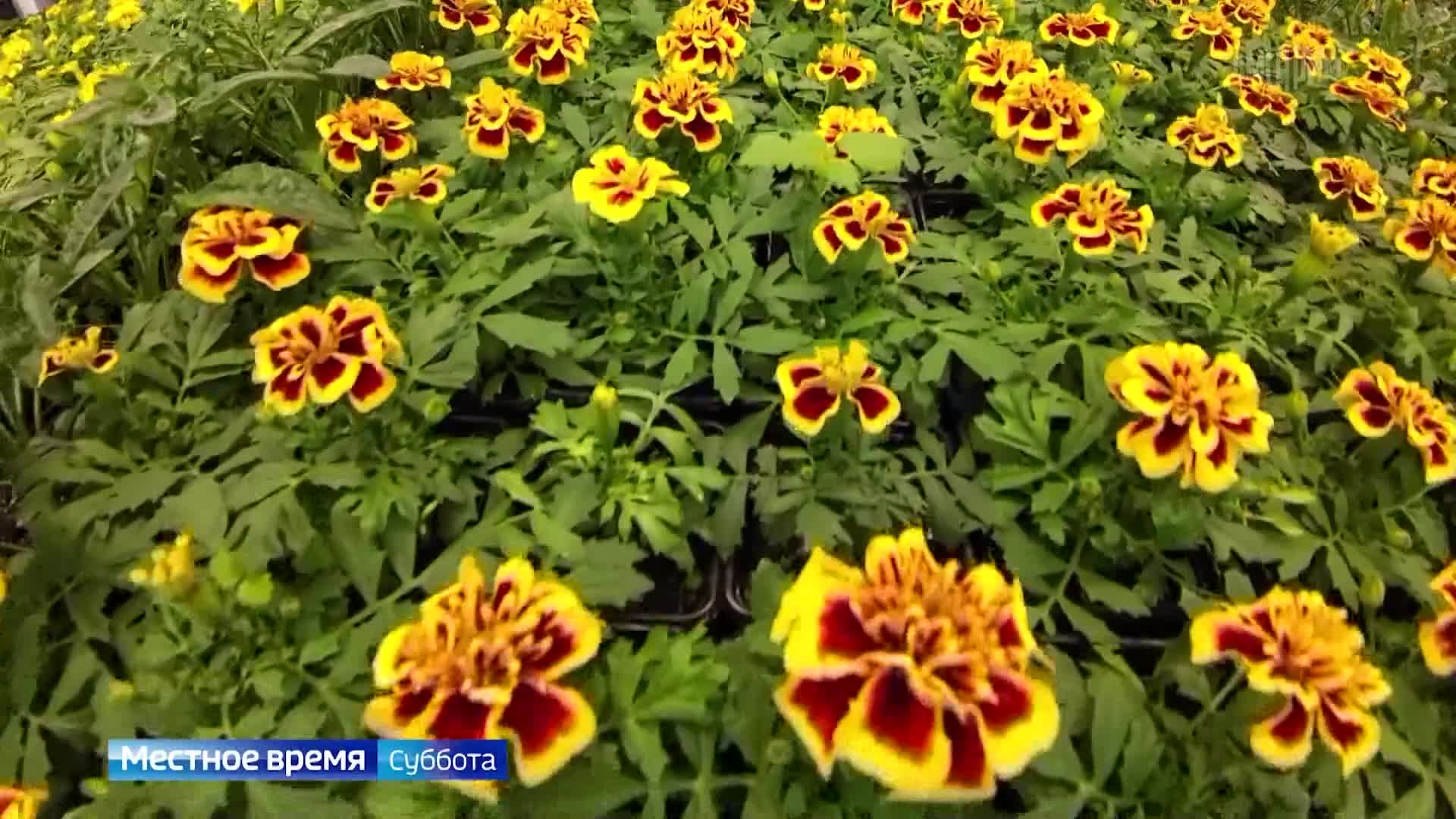 Эфир от 16.05.2026