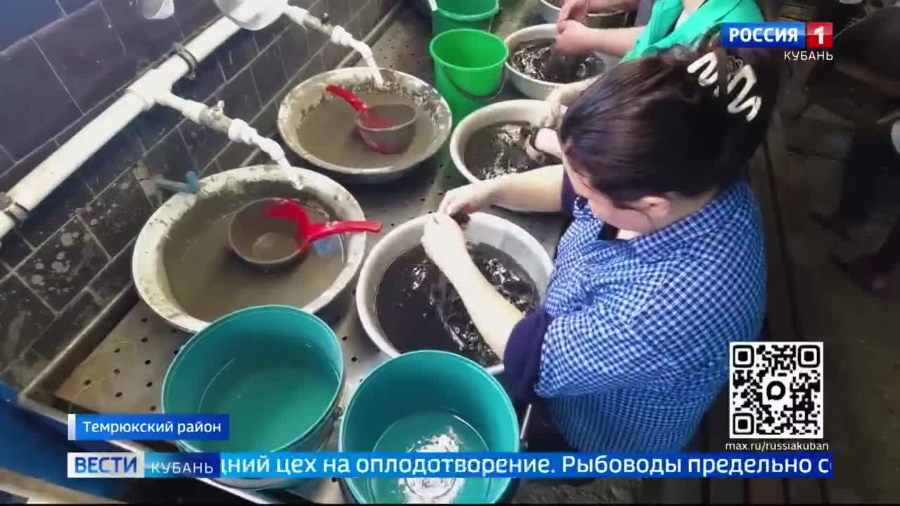 Эфир от 15.05.2026 (11:30)