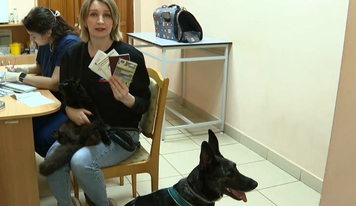 В Марий Эл процедуру обязательной регистрации прошли более 37 тысяч домашних животных