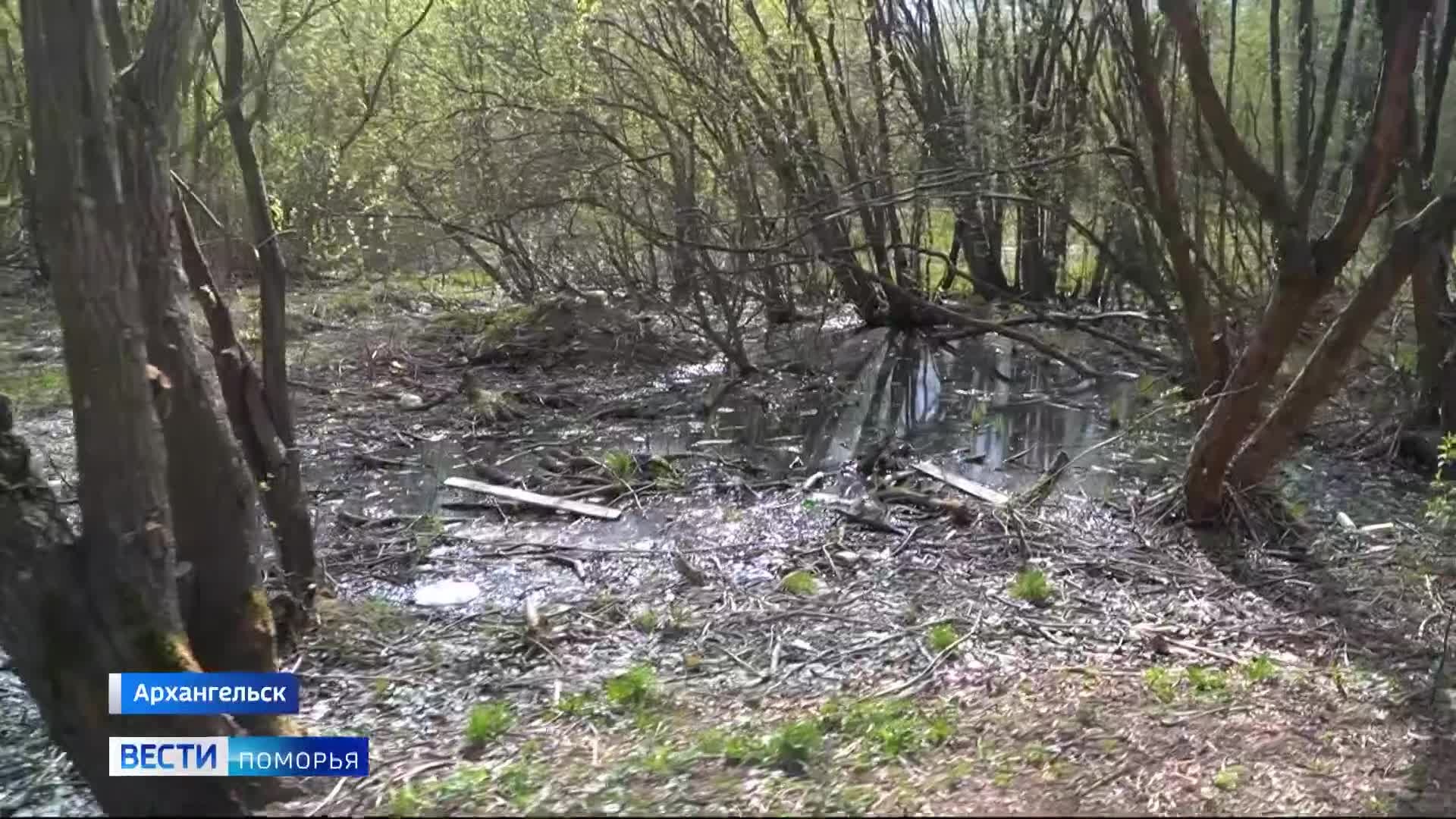 Народные тропы превращают в современные дорожки