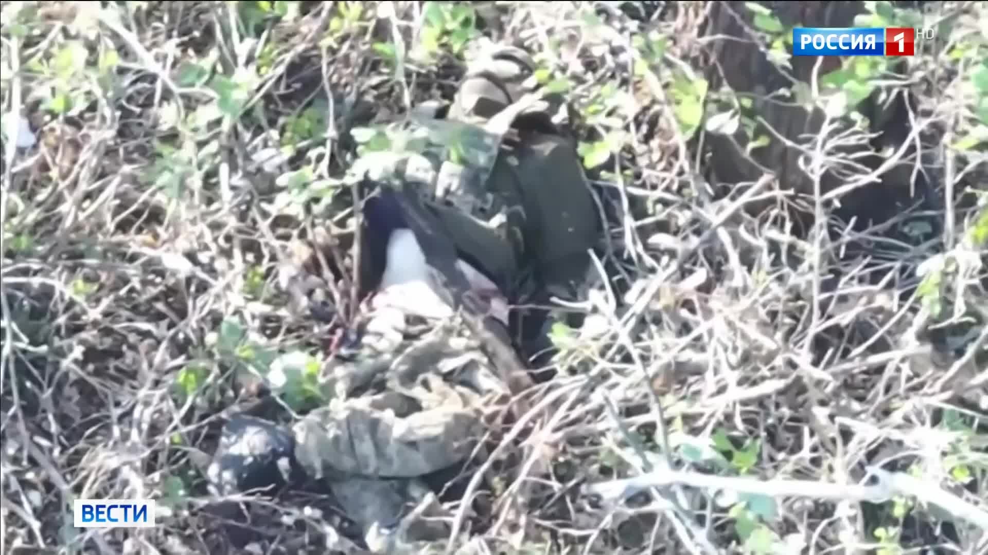 Штурм Новопавловки: группировка "Центр" закрепляется на ключевых позициях на Днепропетровщине