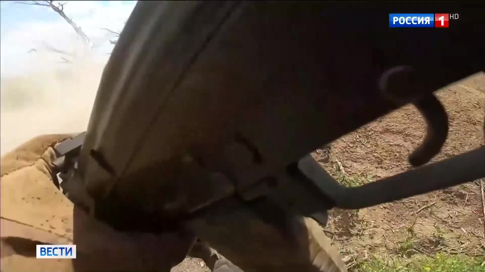 Эфир 17.05.2026 · 17:00