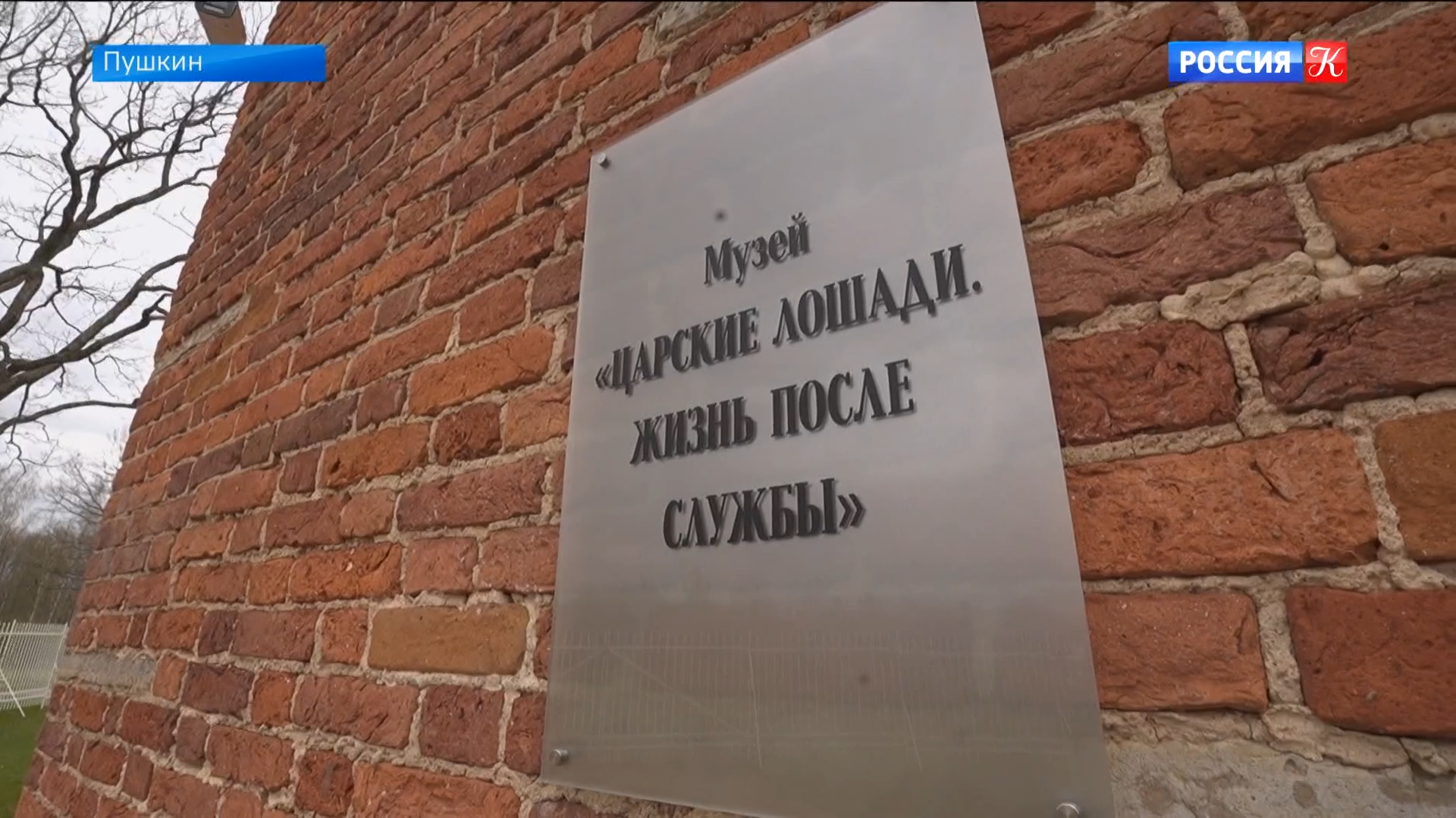 Императорским лошадям и их жизни после службы посвящена новая экспозиция в "Царском селе"