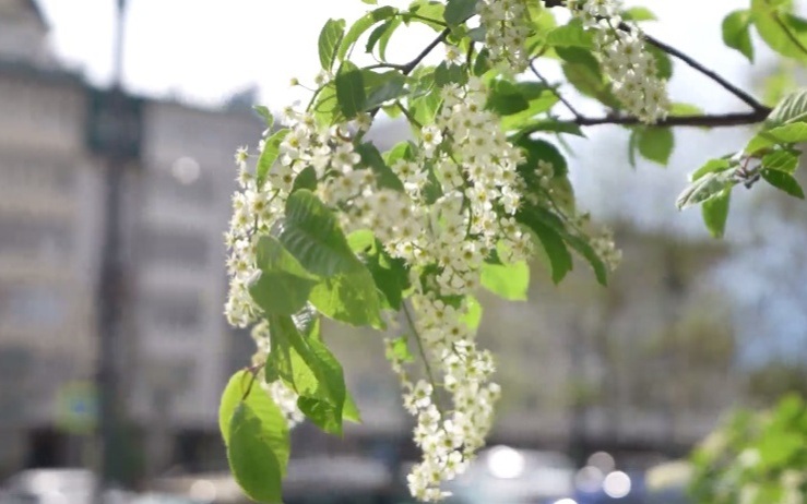 Эфир от 16.05.26