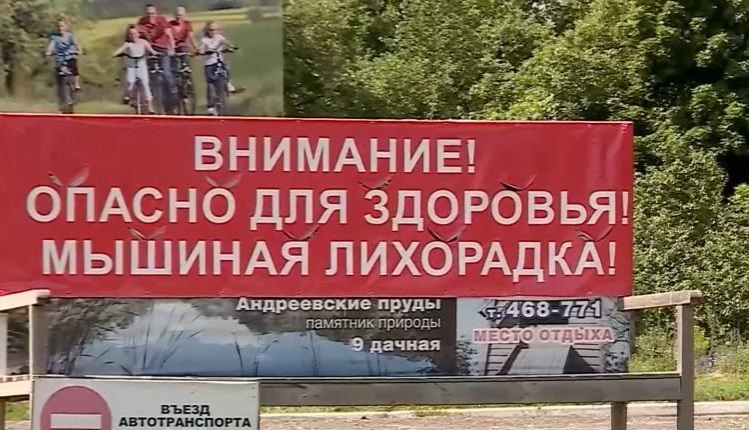 На официальном сайте регионального Центра гигиены и эпидемиологии появилась информация о перспективах распространения геморрагической лихорадки с почечным синдромом в этом сезоне