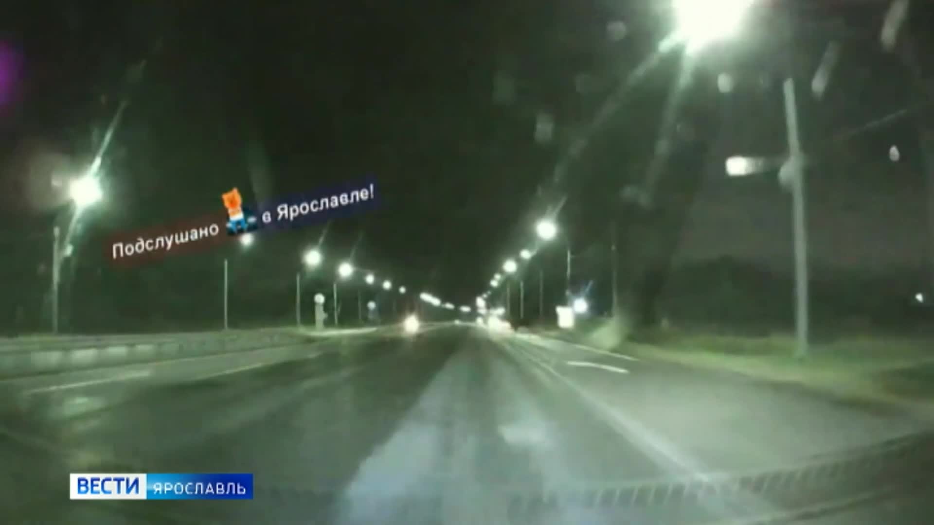 В Ярославской области с начала года произошло 128 ДТП с участием лосей