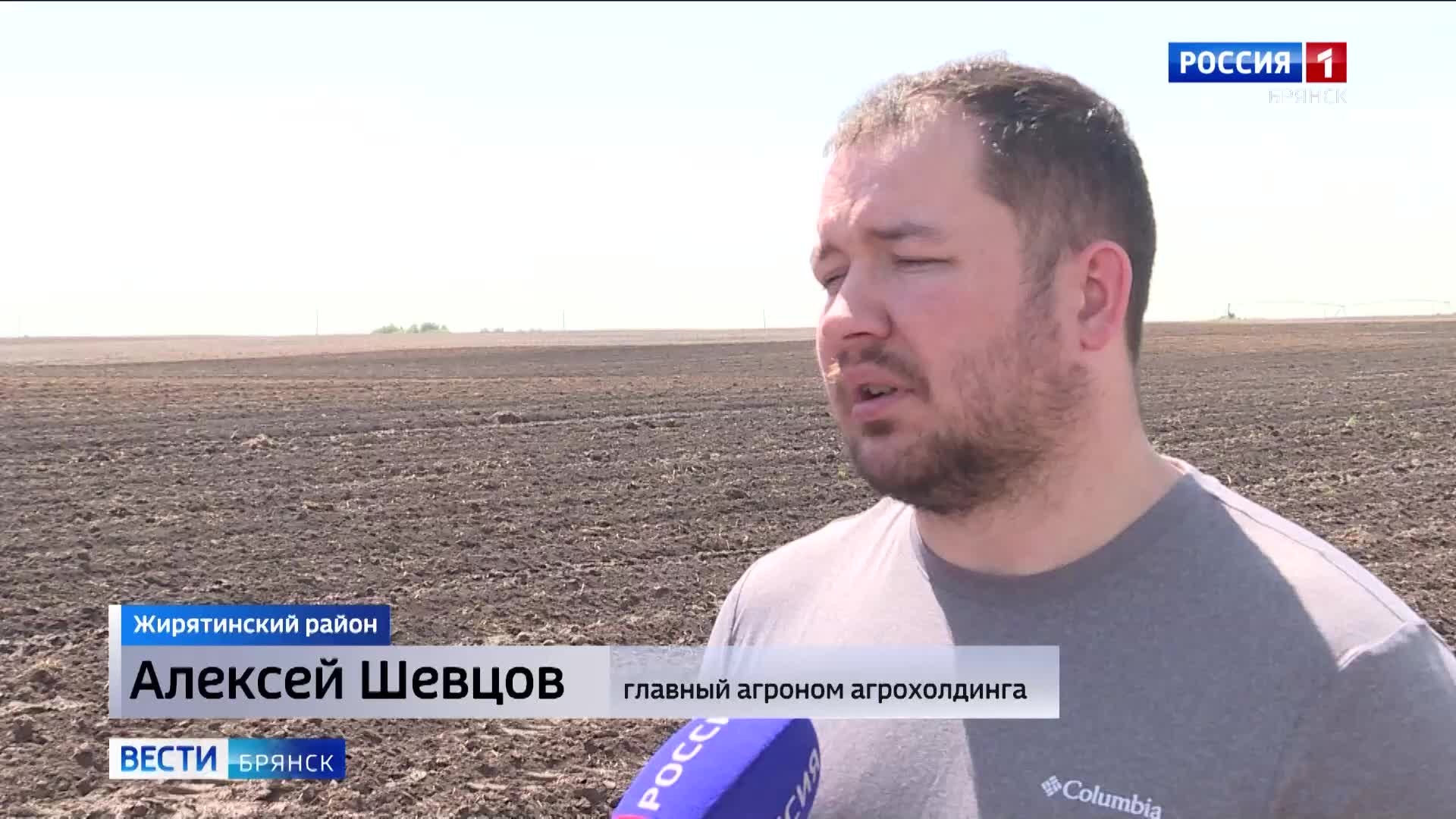 В Брянской области завершается посадка картофеля