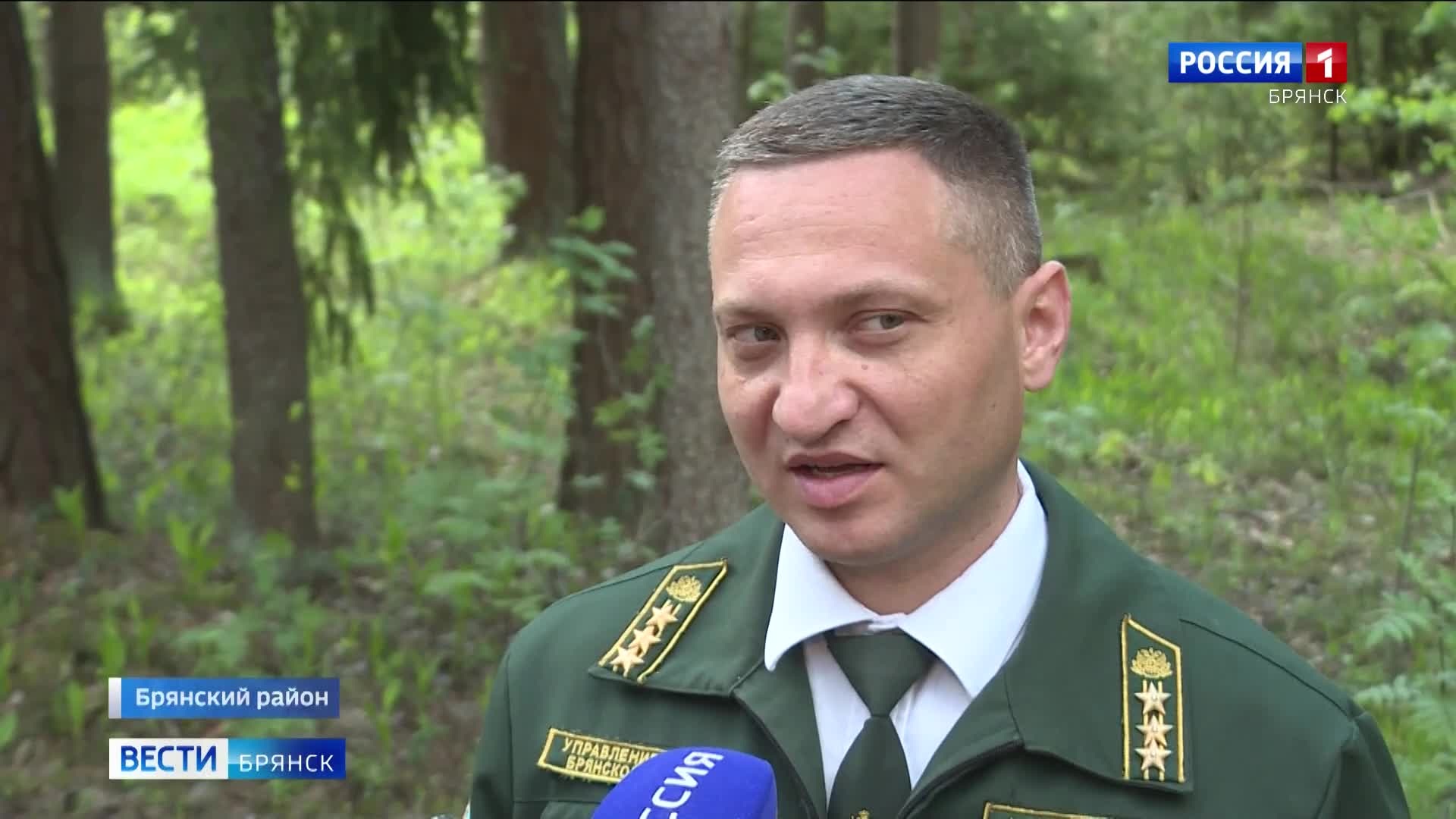 В Брянской области прошёл 20-й слёт школьных лесничеств