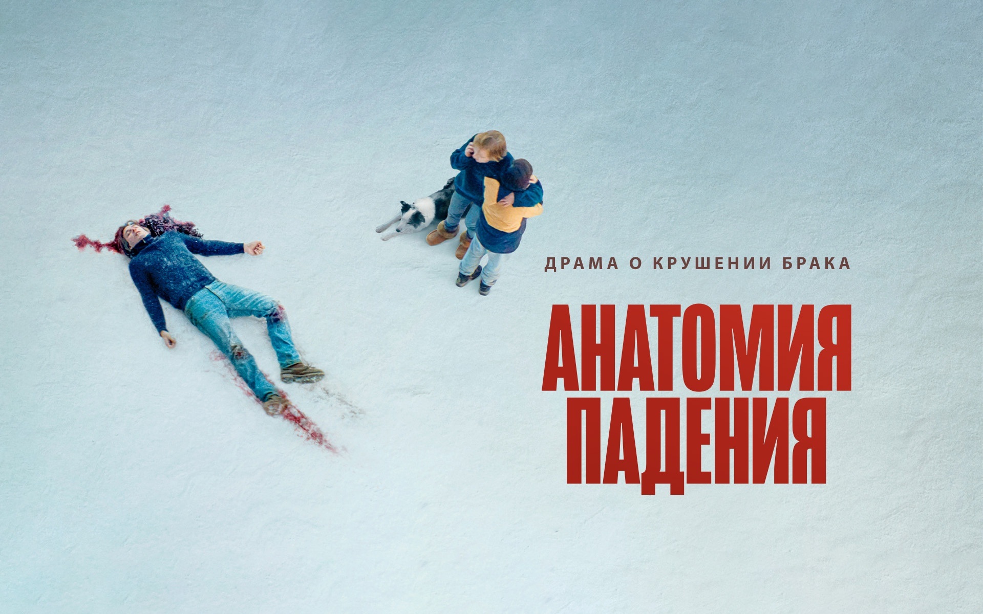 Анатомия падения