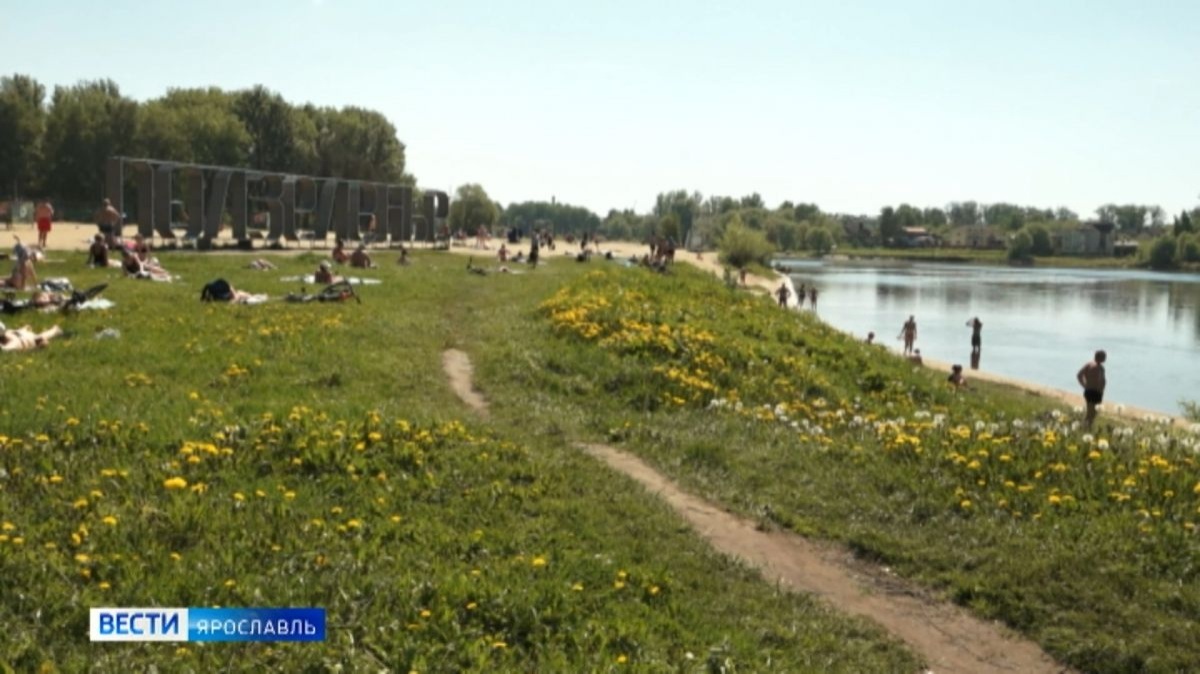 На свой страх и риск: ярославцы спасаются от аномальной жары на городских пляжах